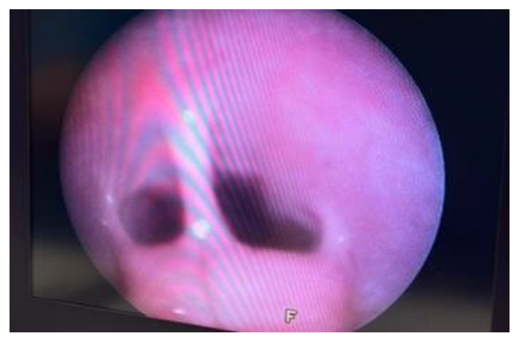 Preprints 145655 g005