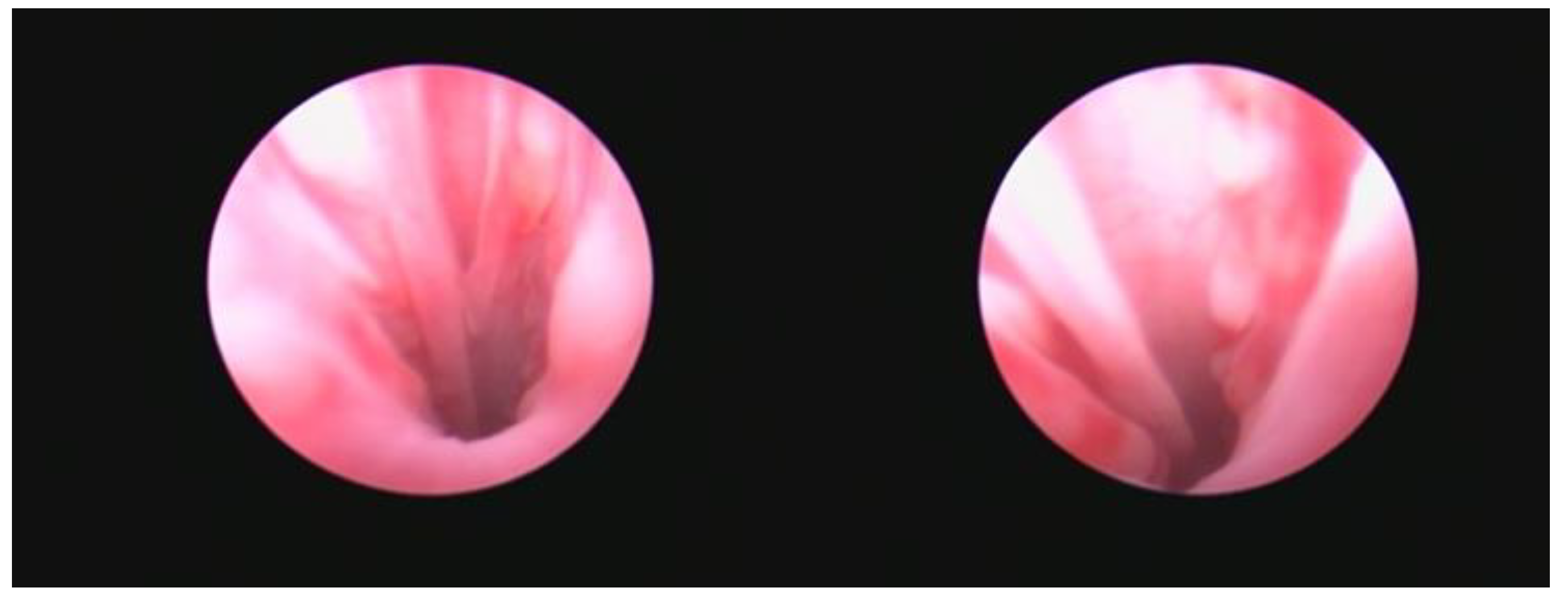 Preprints 145655 g006