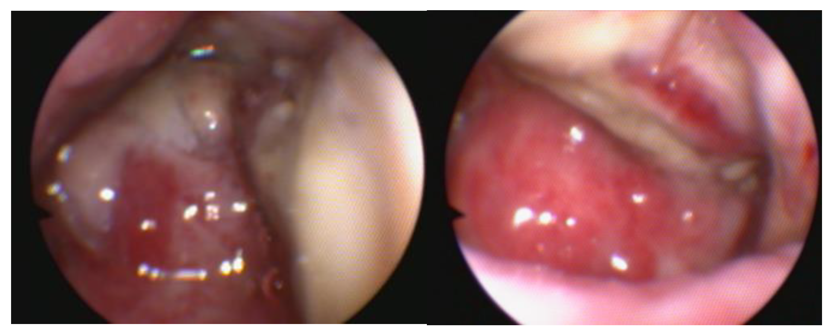 Preprints 145655 g007