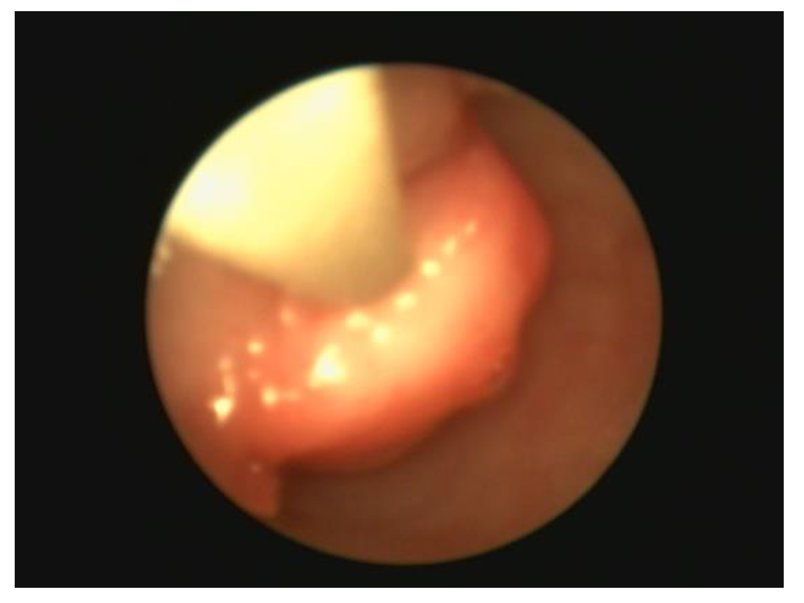 Preprints 145655 g009