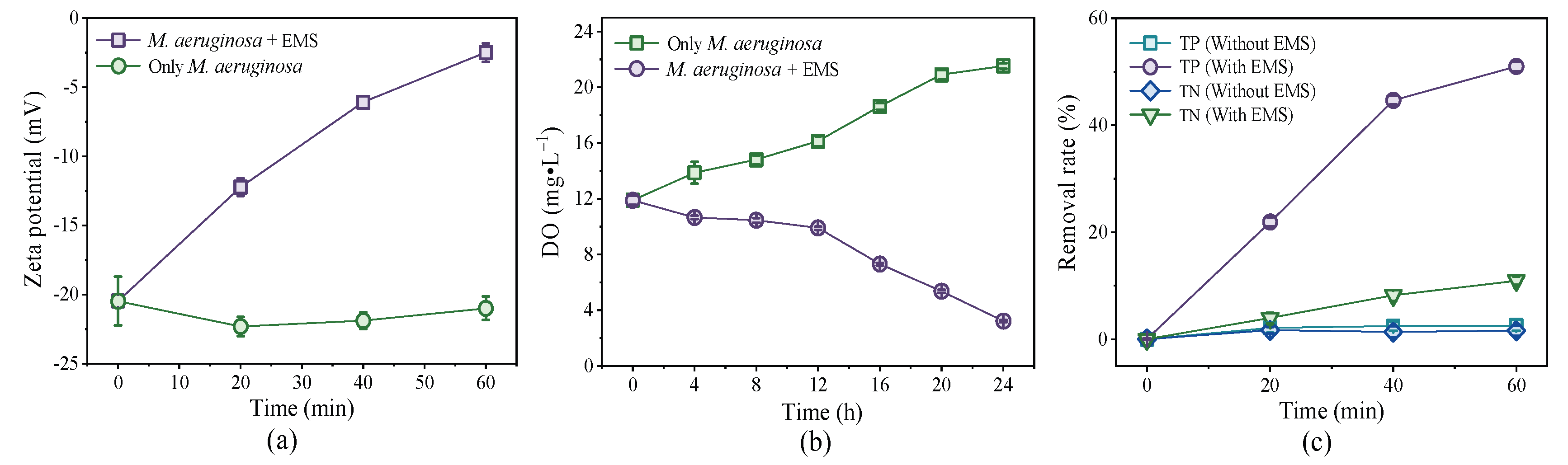 Preprints 216669 g004