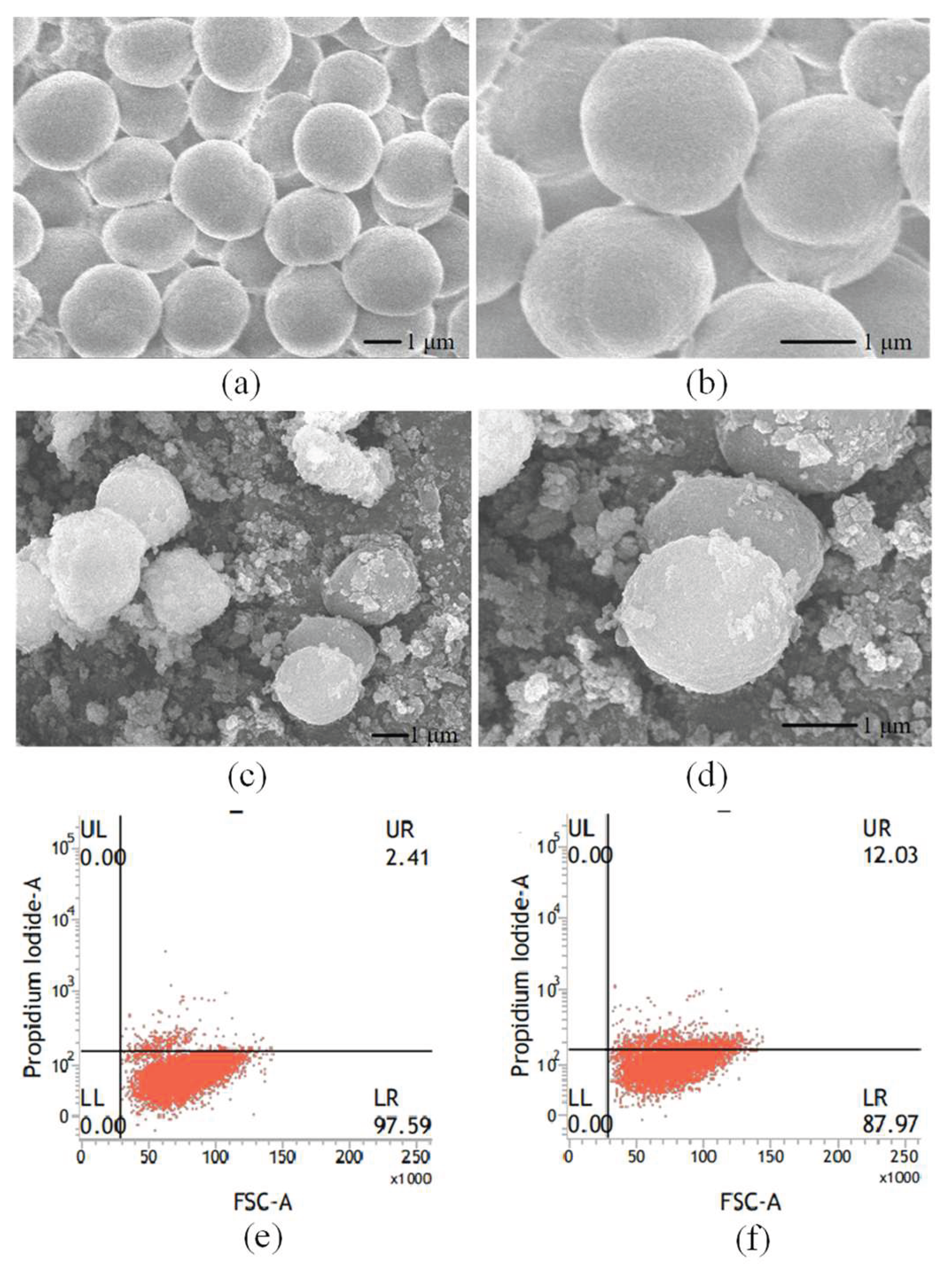 Preprints 216669 g005