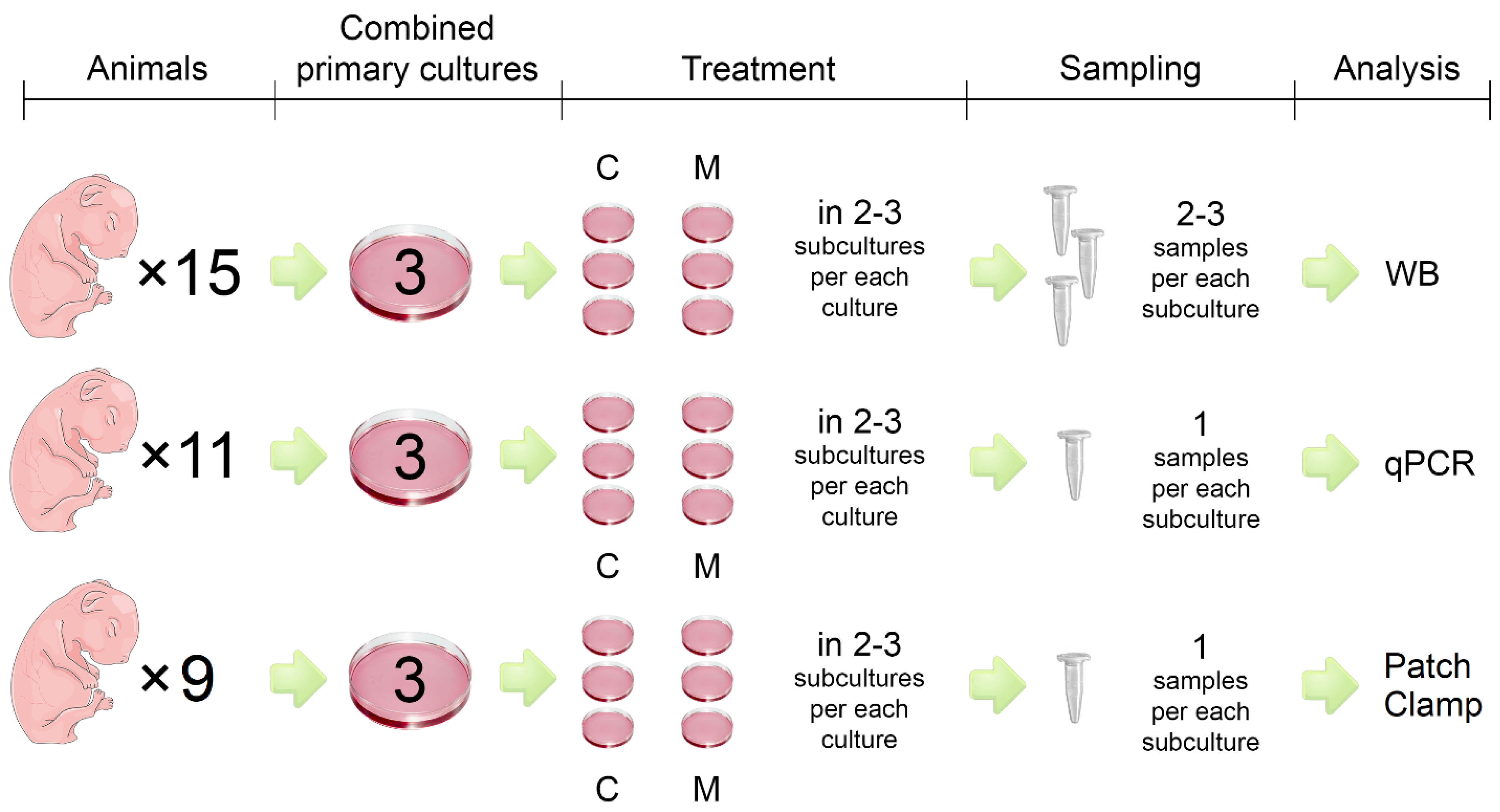 Preprints 142613 g001