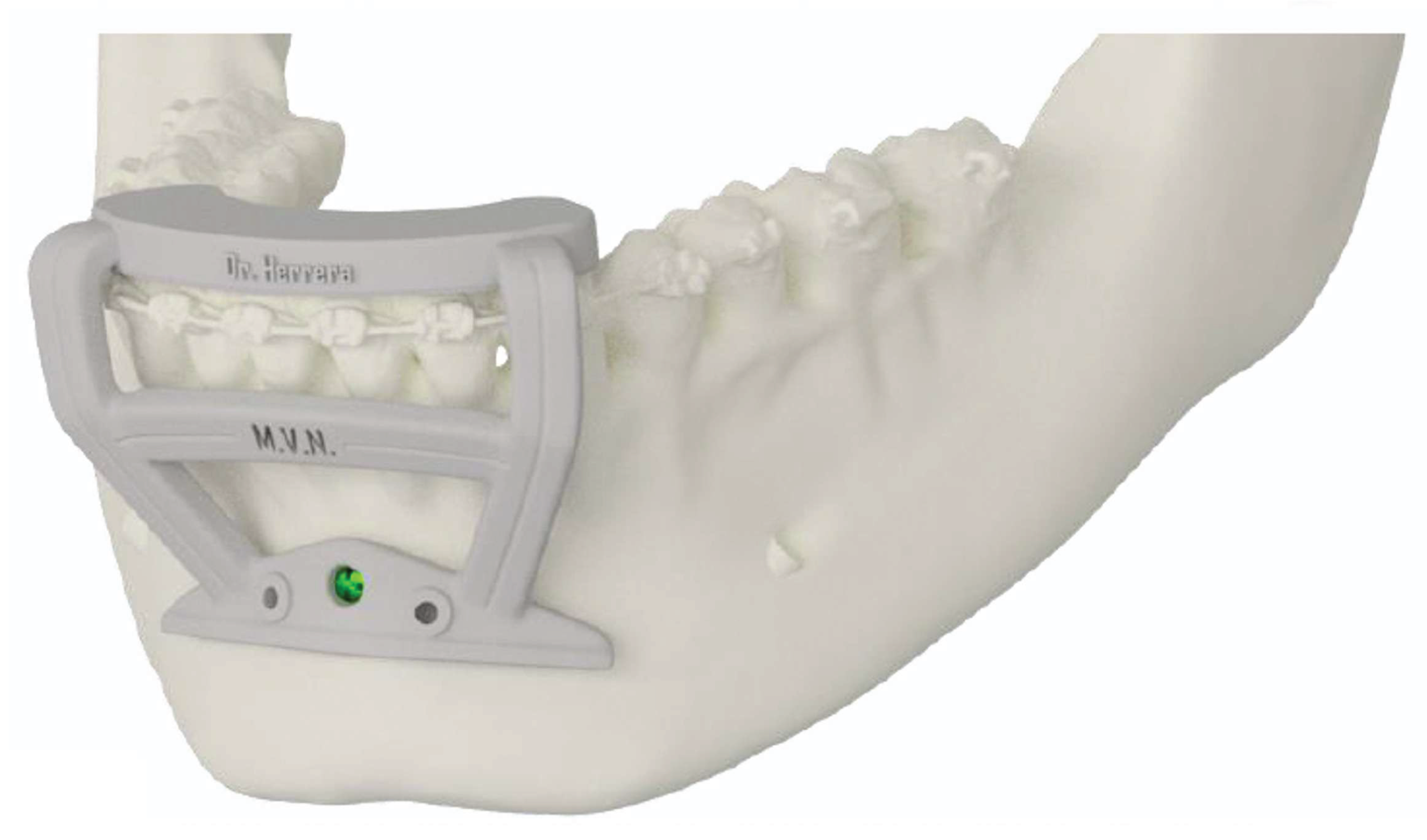 Preprints 169450 g002