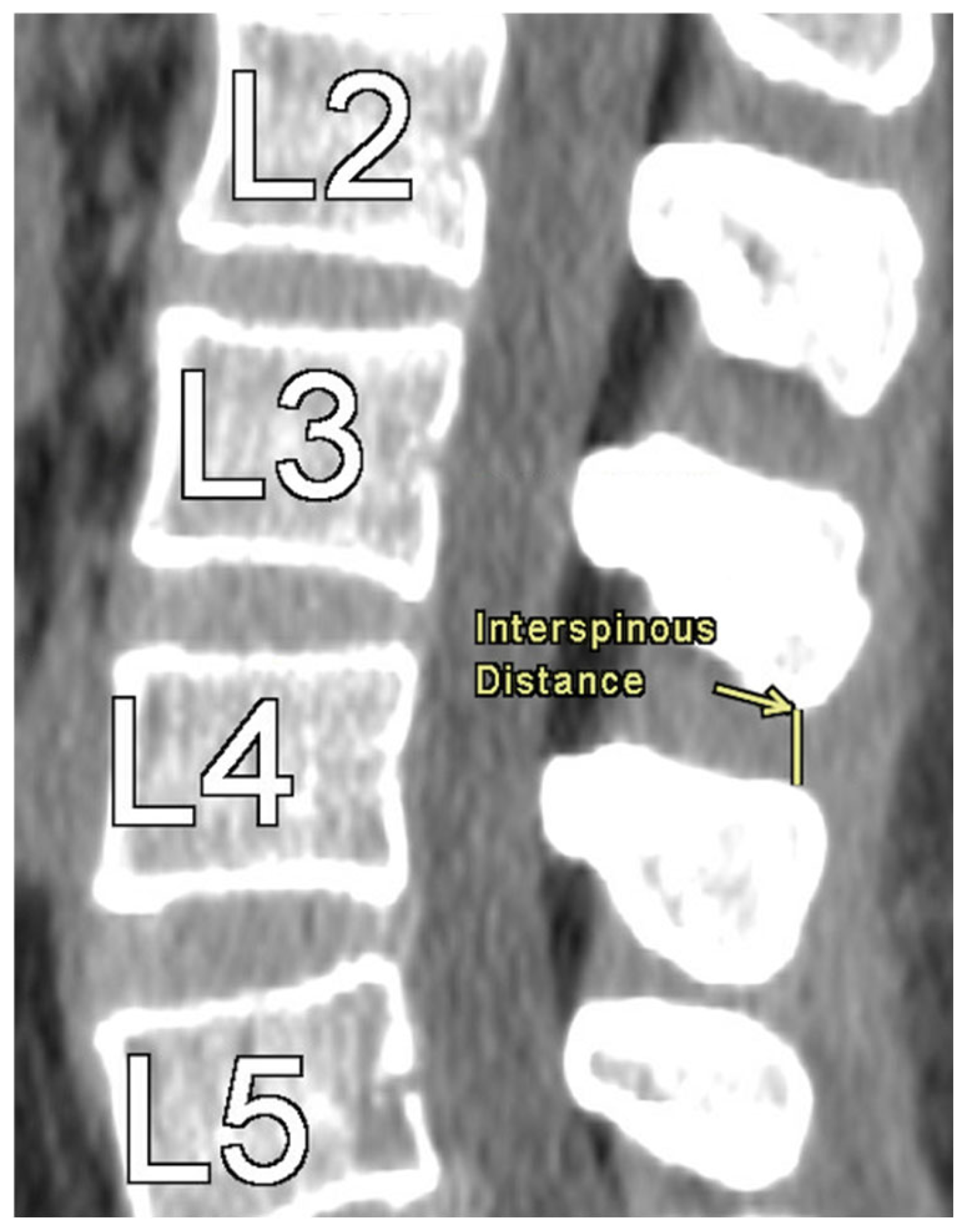 Preprints 169083 g001