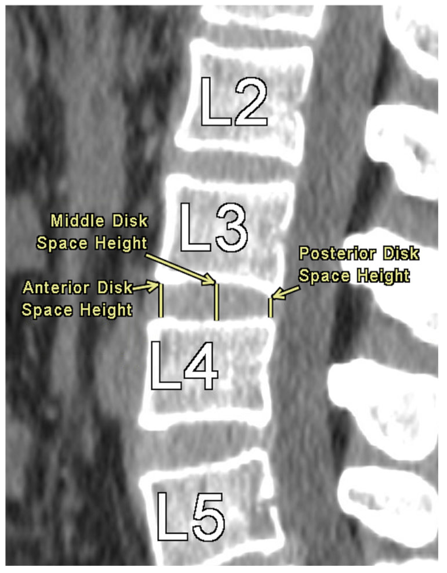 Preprints 169083 g002