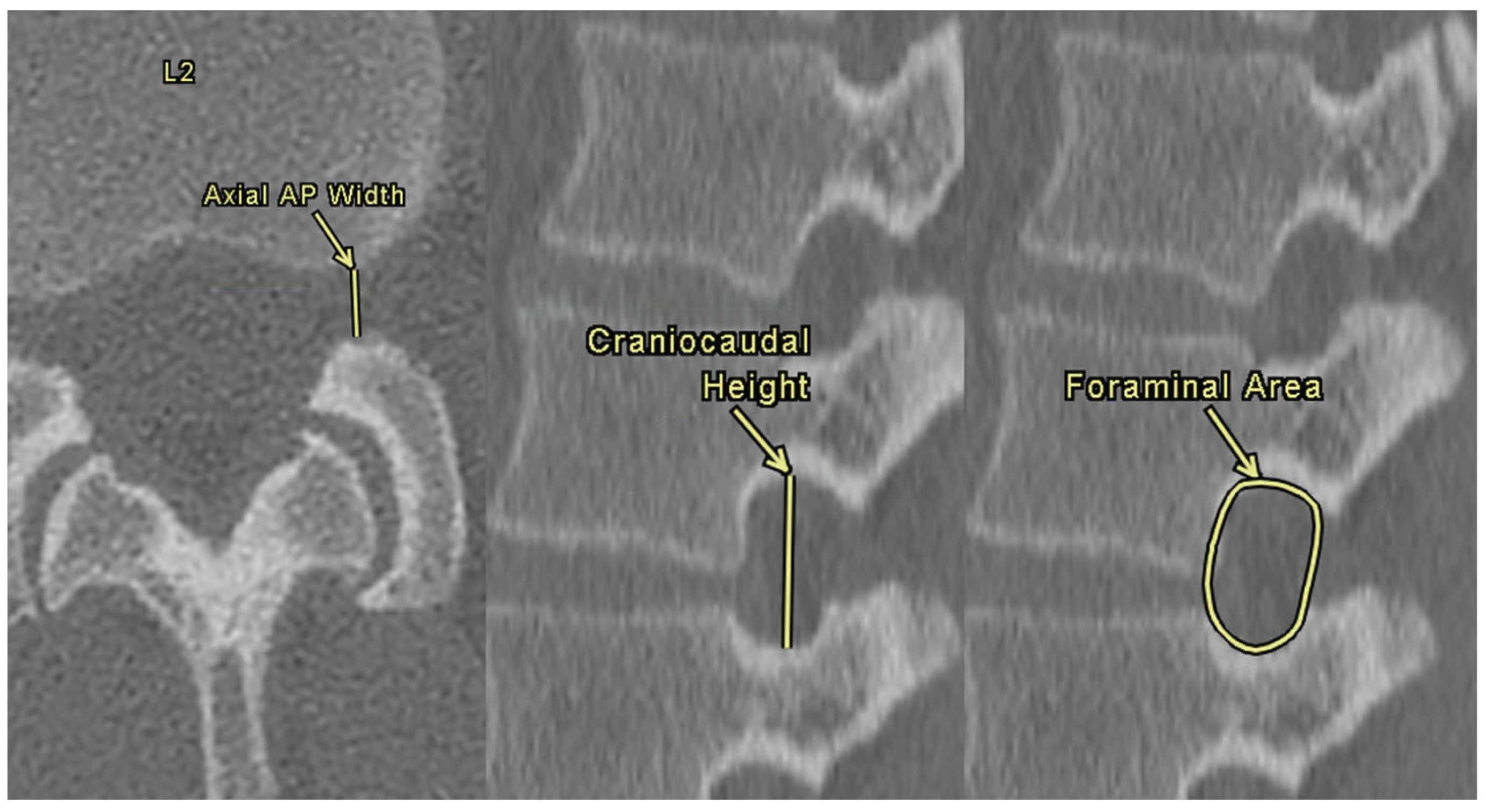 Preprints 169083 g003