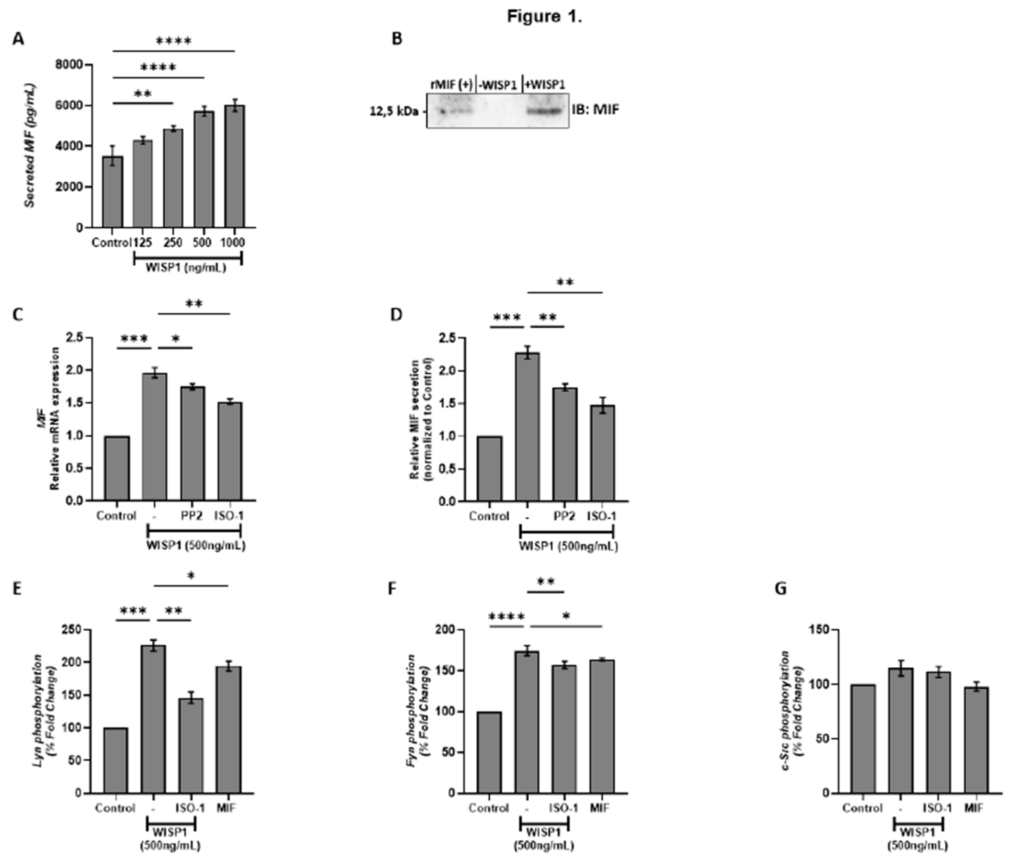 Preprints 180808 g001