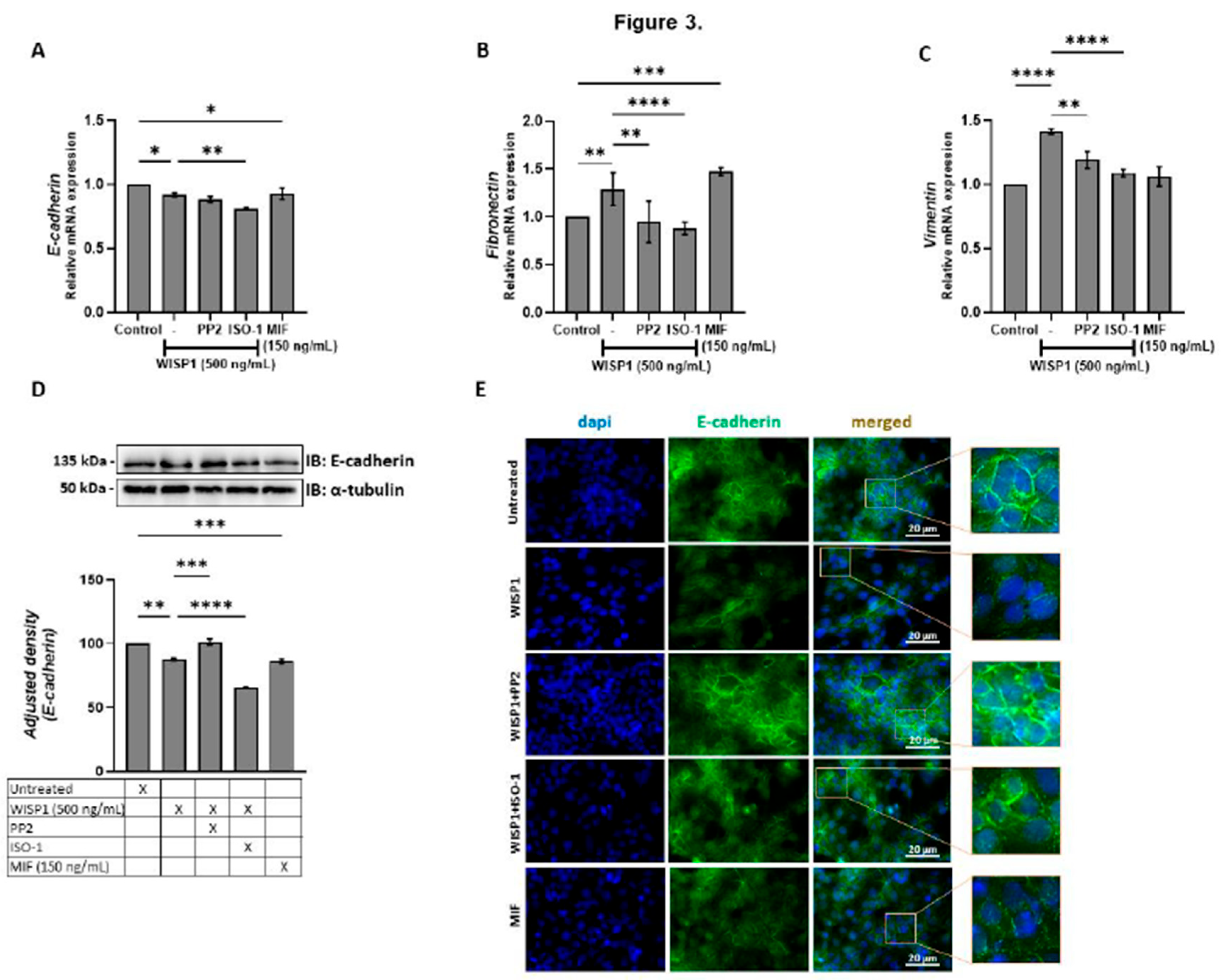 Preprints 180808 g003