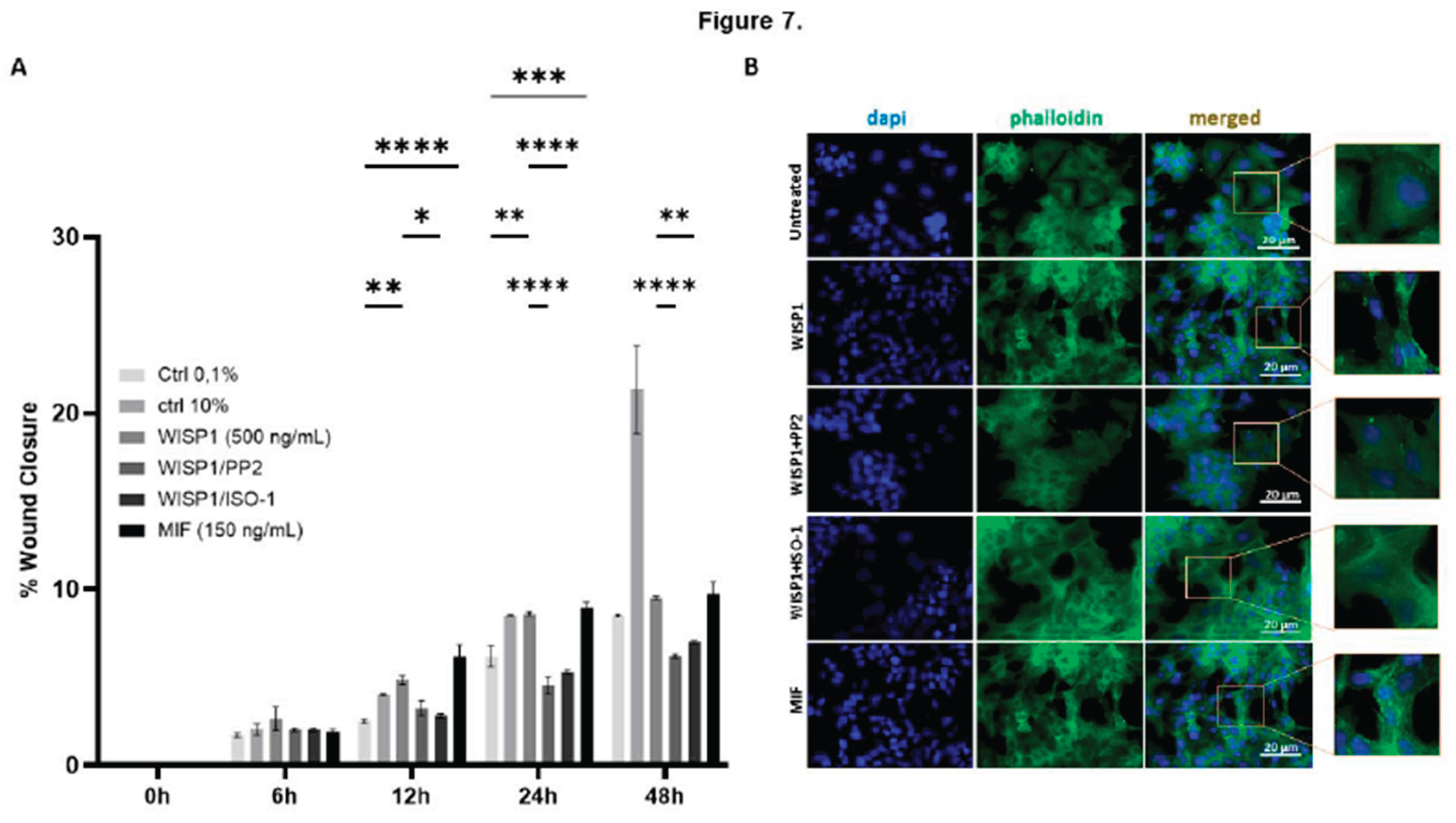 Preprints 180808 g007