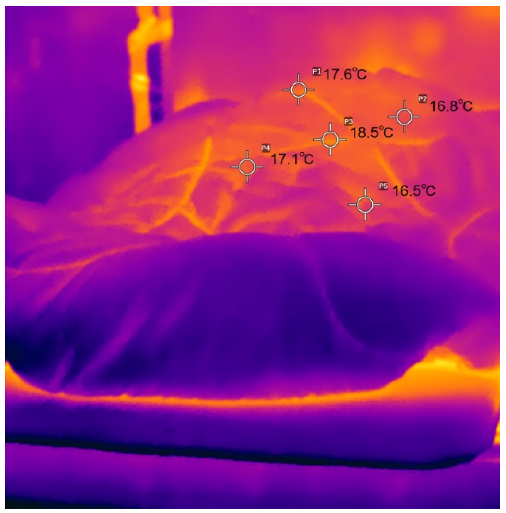 Preprints 78559 g012