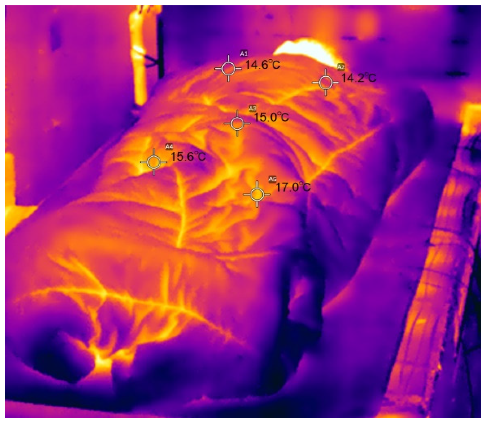 Preprints 78559 g020