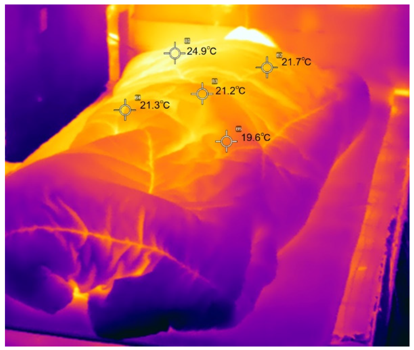 Preprints 78559 g021