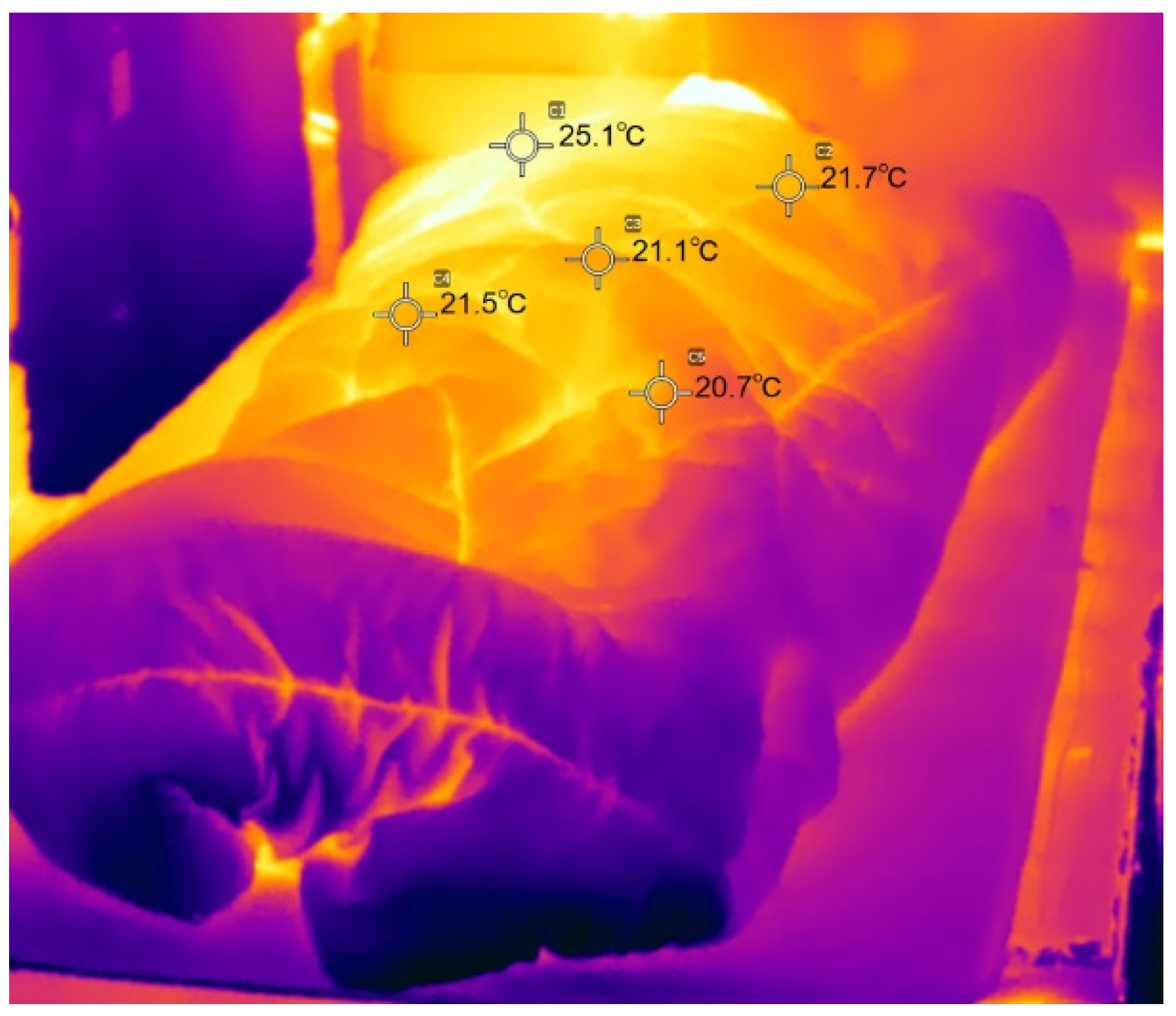 Preprints 78559 g022