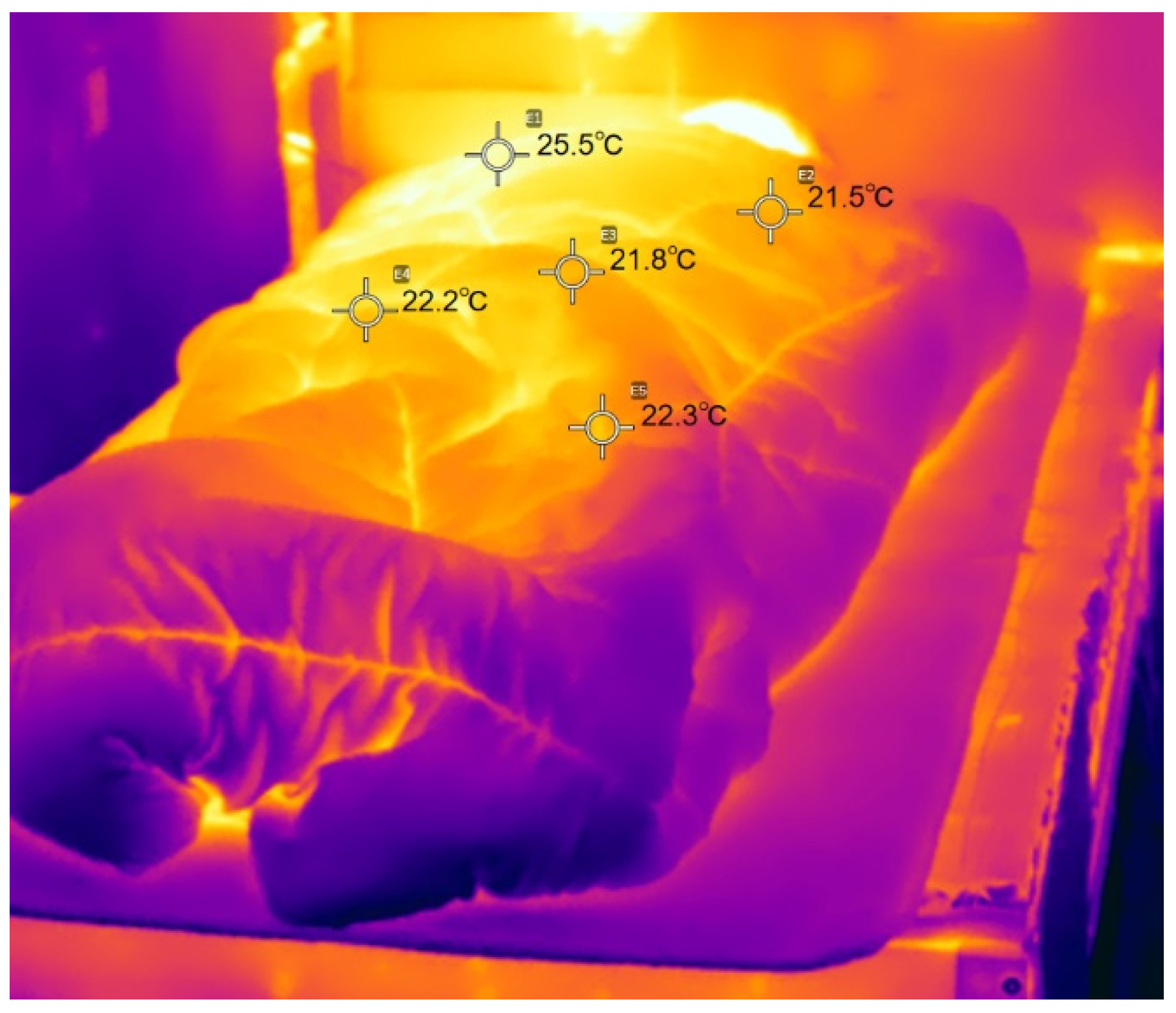 Preprints 78559 g024