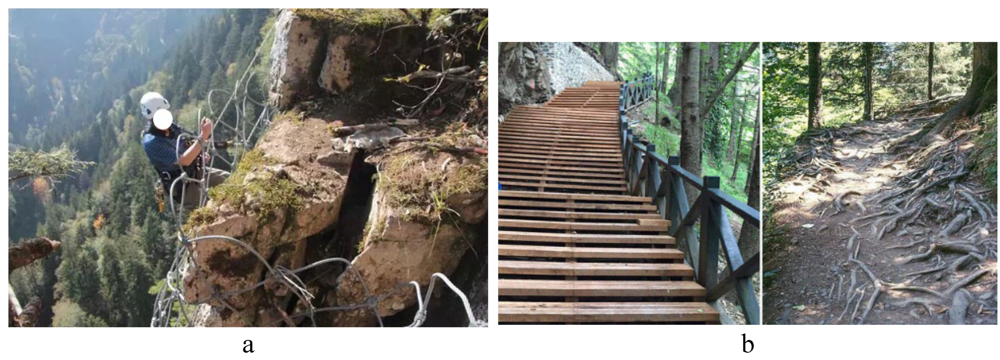 Preprints 191028 g010