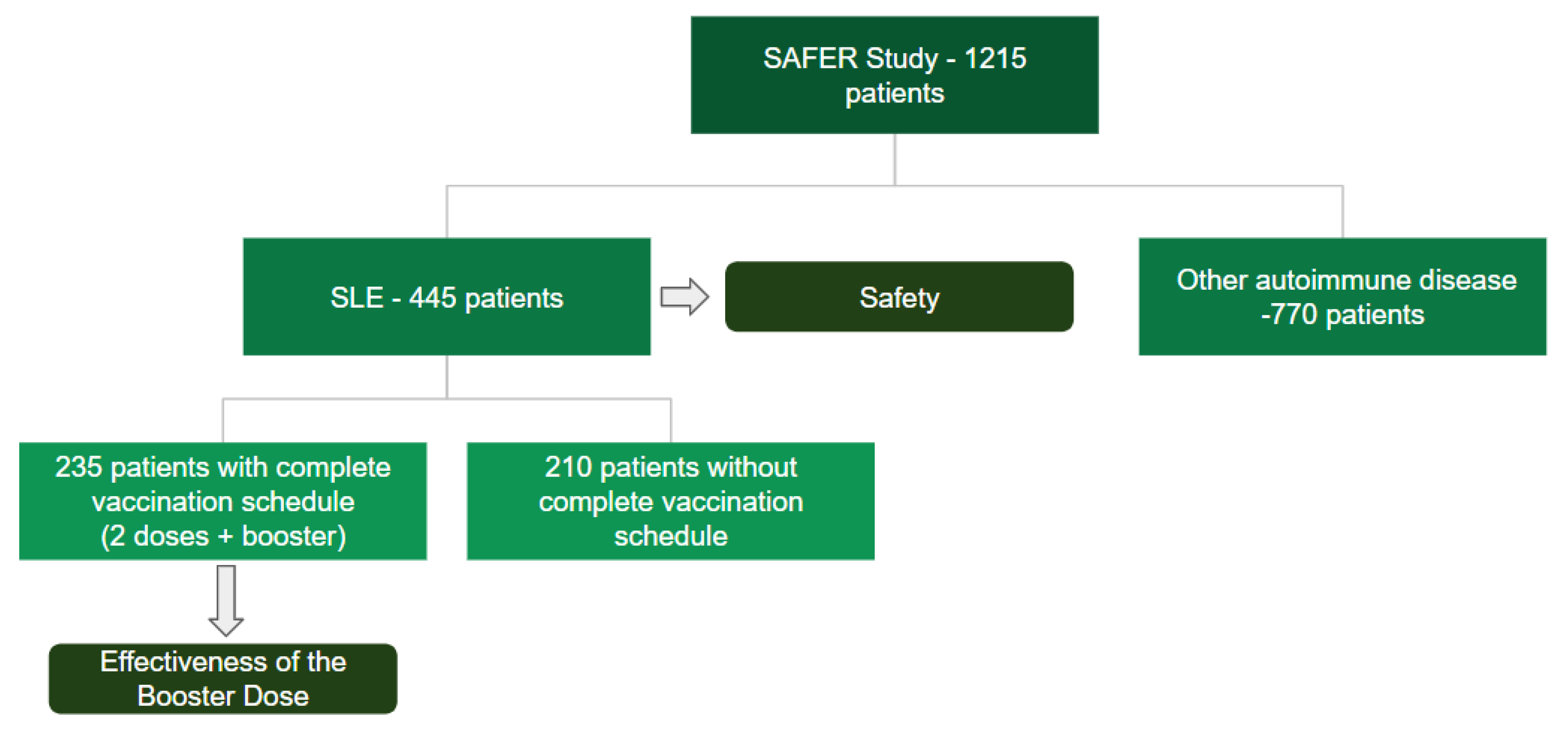 Preprints 140491 g003