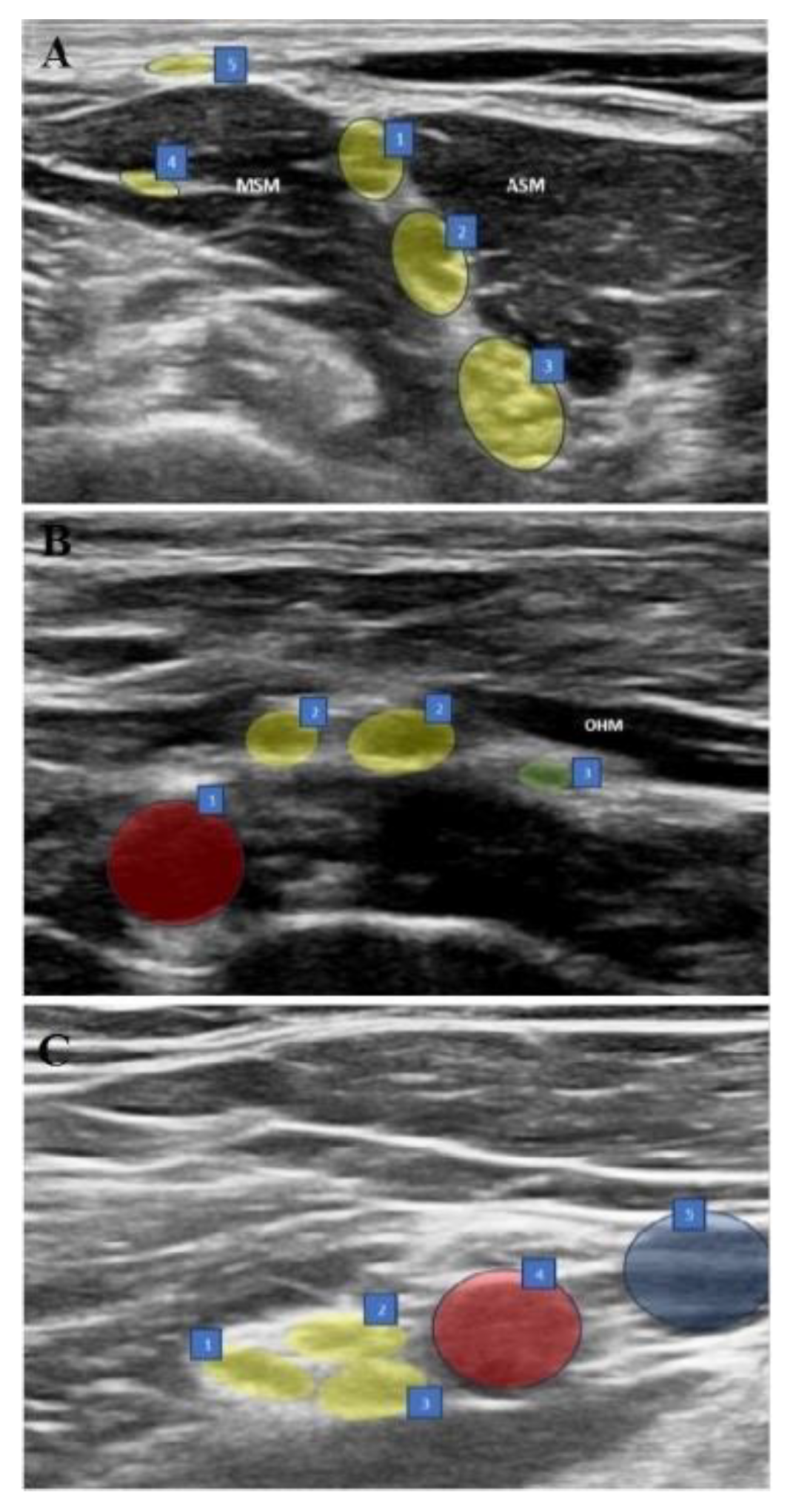 Preprints 189794 g001