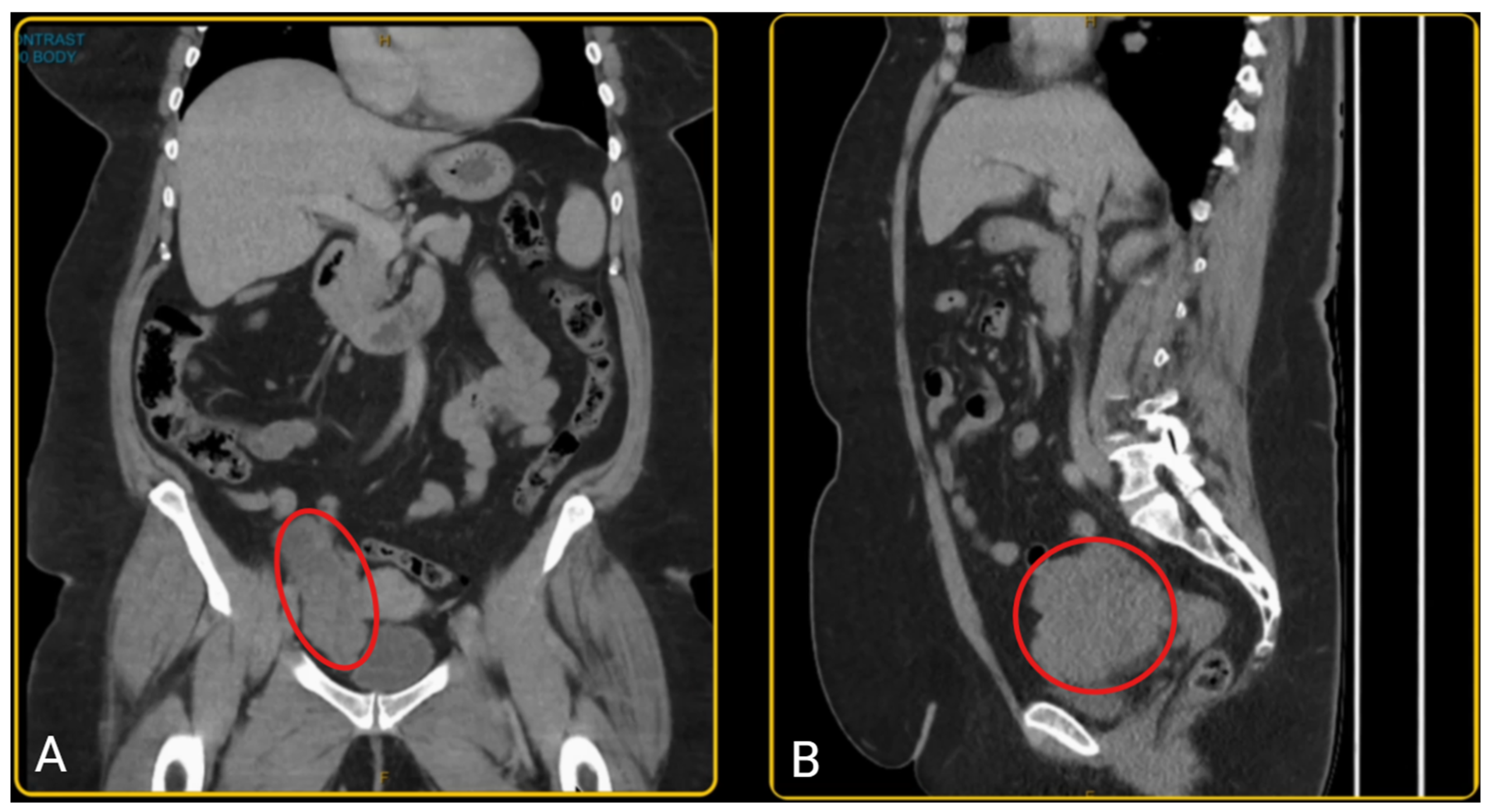 Preprints 158004 g001