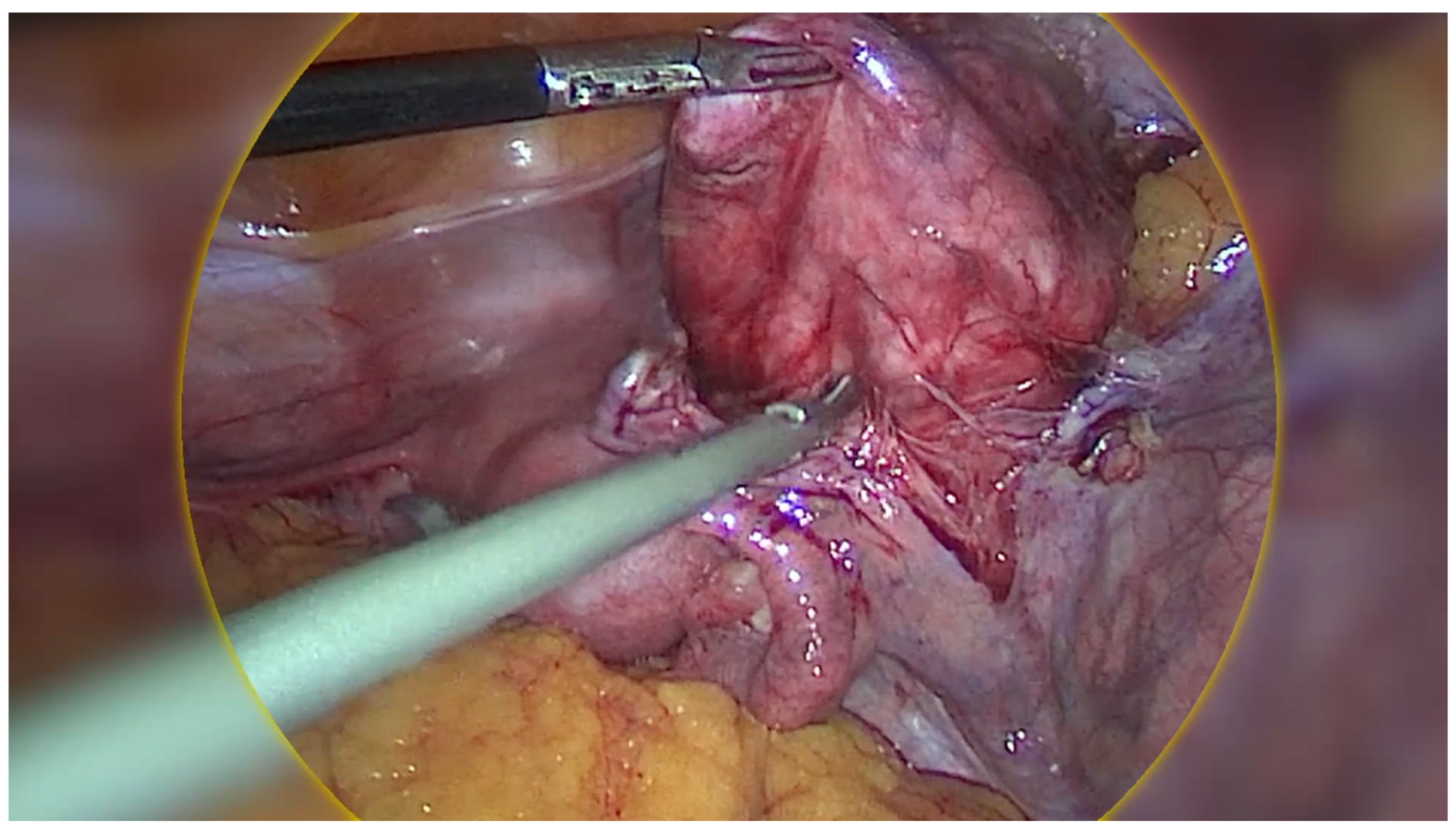 Preprints 158004 g003