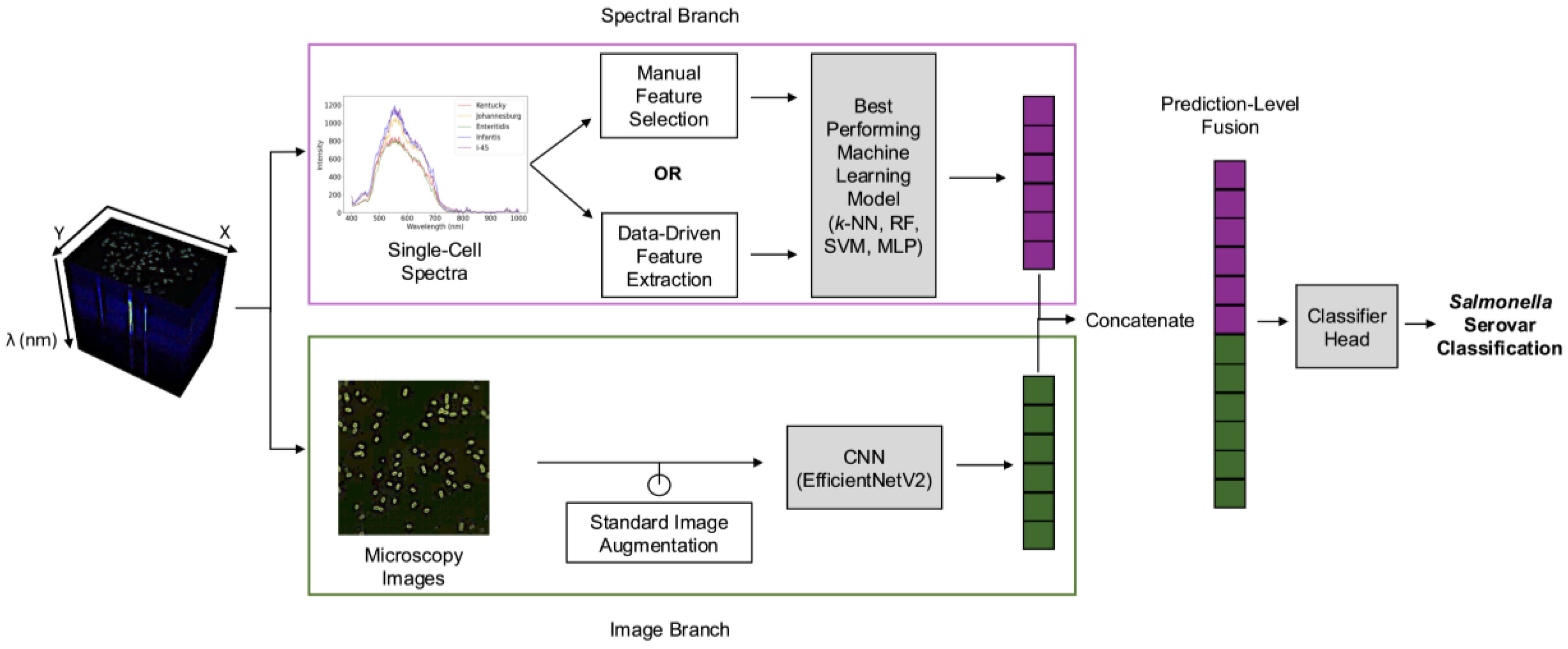 Preprints 168784 g001