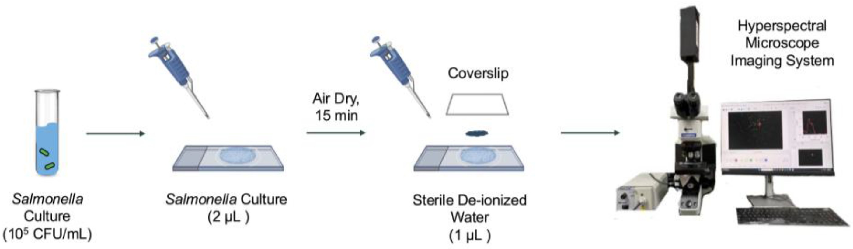 Preprints 168784 g002