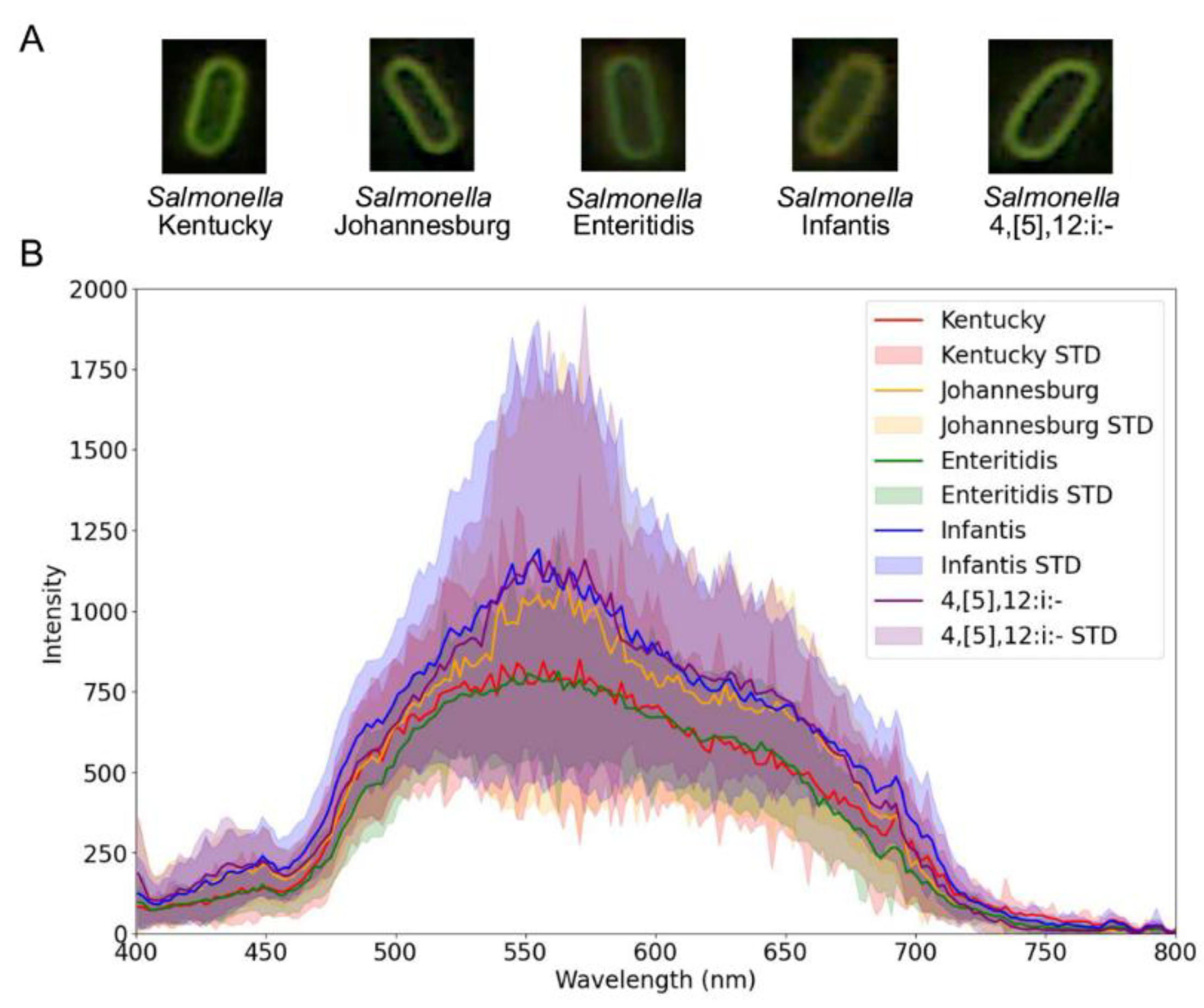 Preprints 168784 g003
