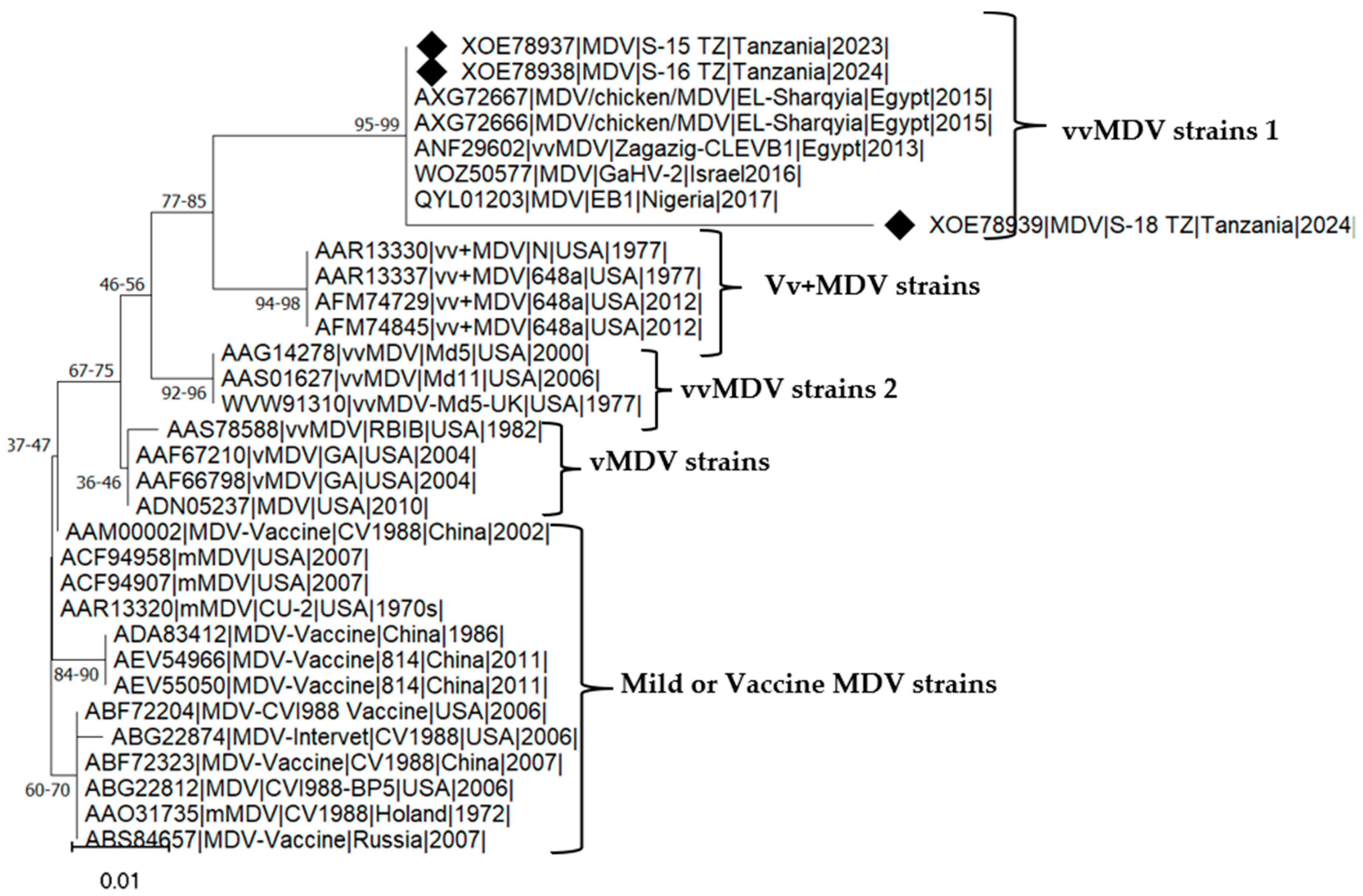 Preprints 153876 g002