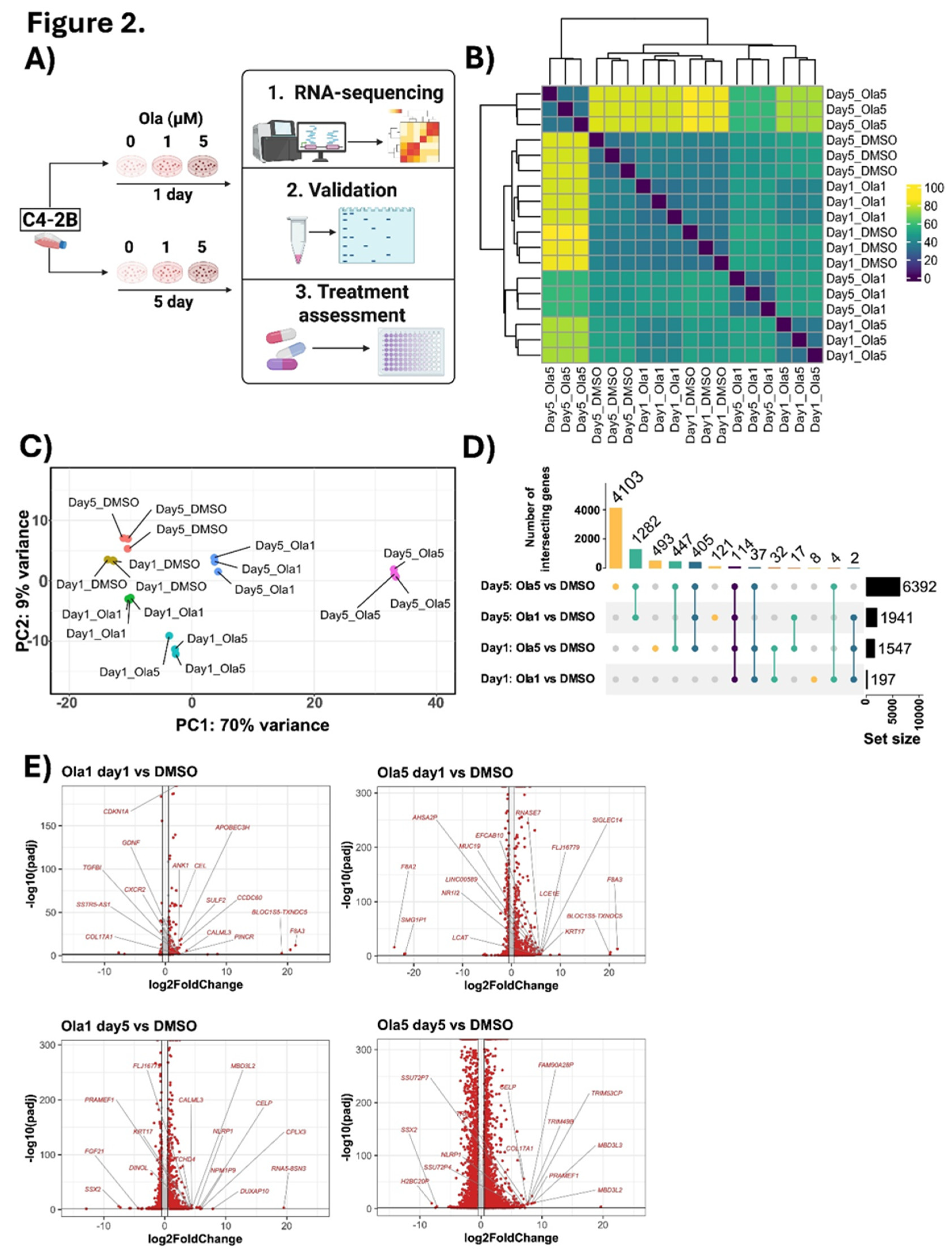 Preprints 218597 g002 Preprints 218597 g002