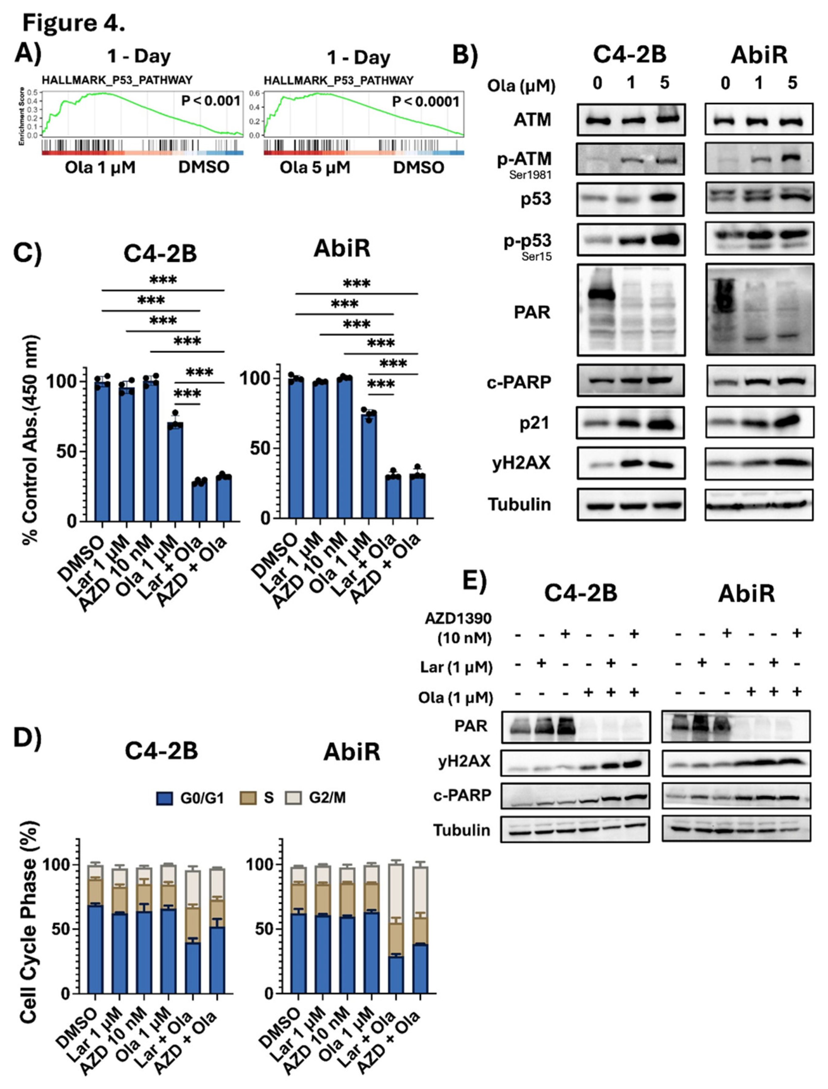 Preprints 218597 g004 Preprints 218597 g004