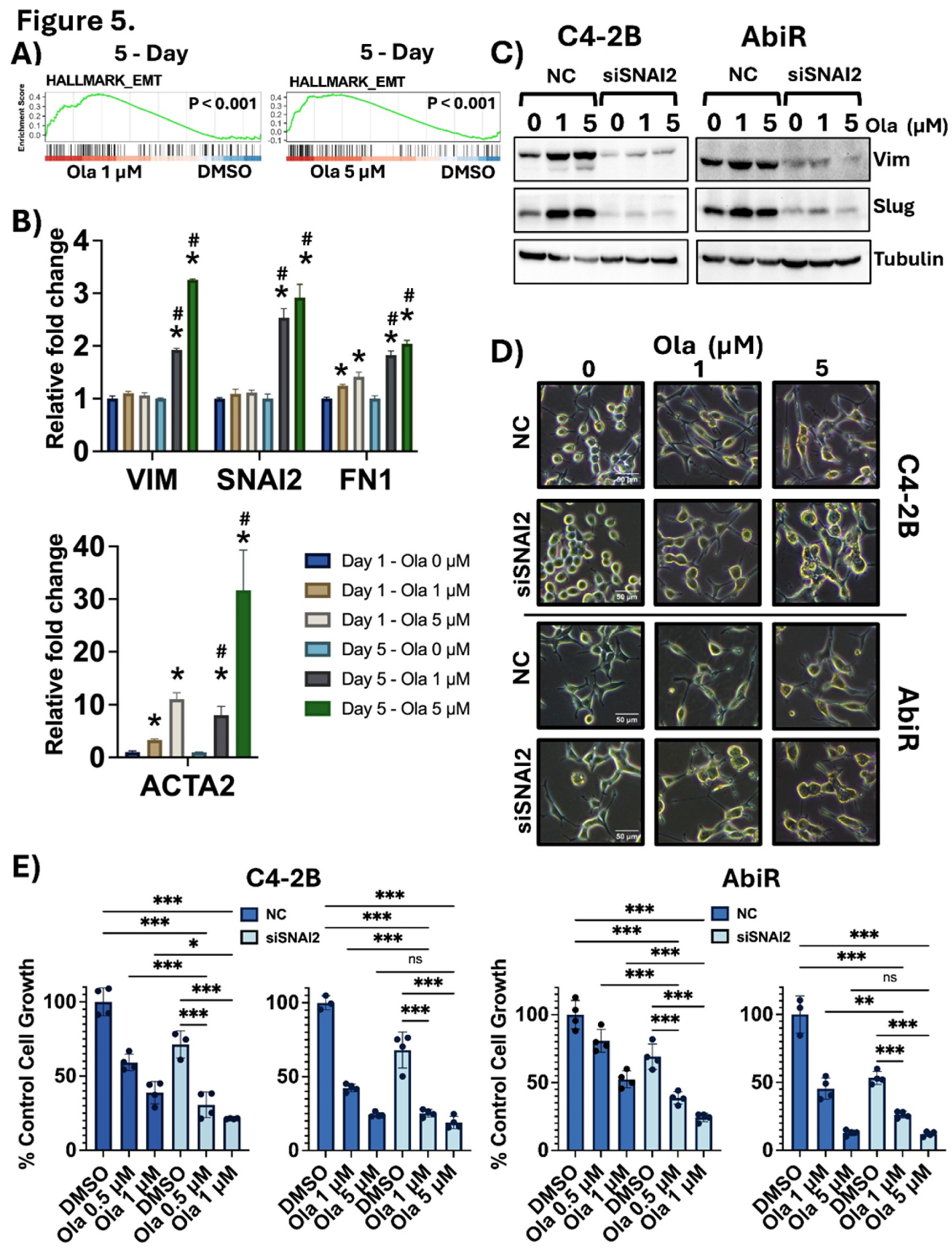 Preprints 218597 g005 Preprints 218597 g005