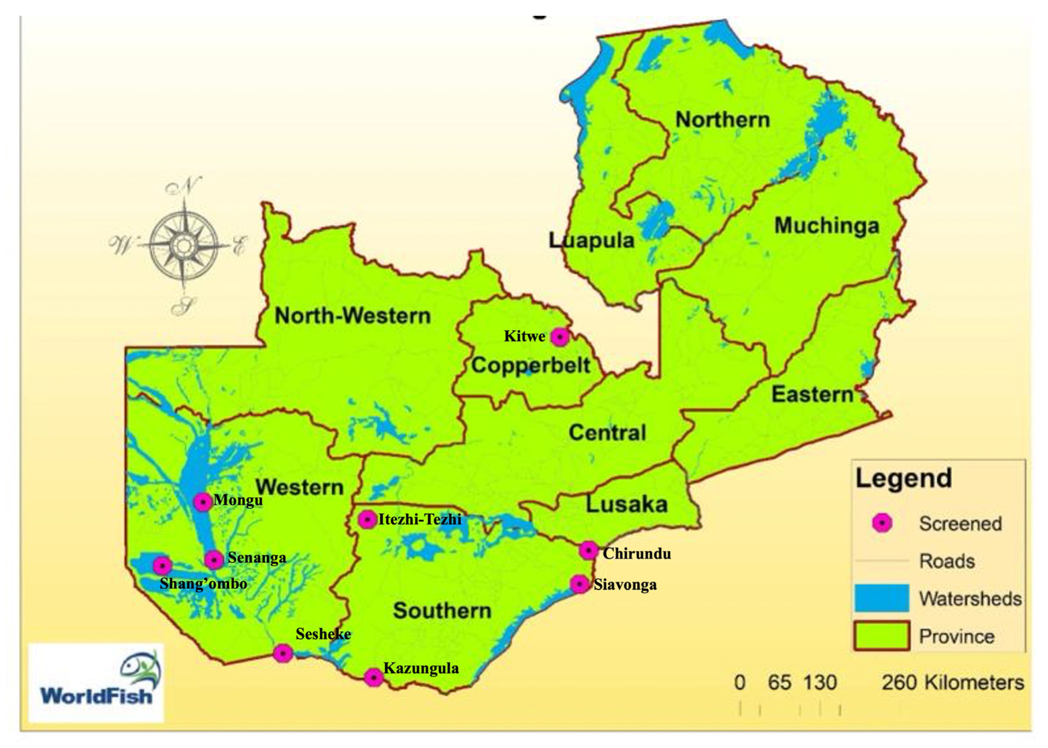 Preprints 154716 g001