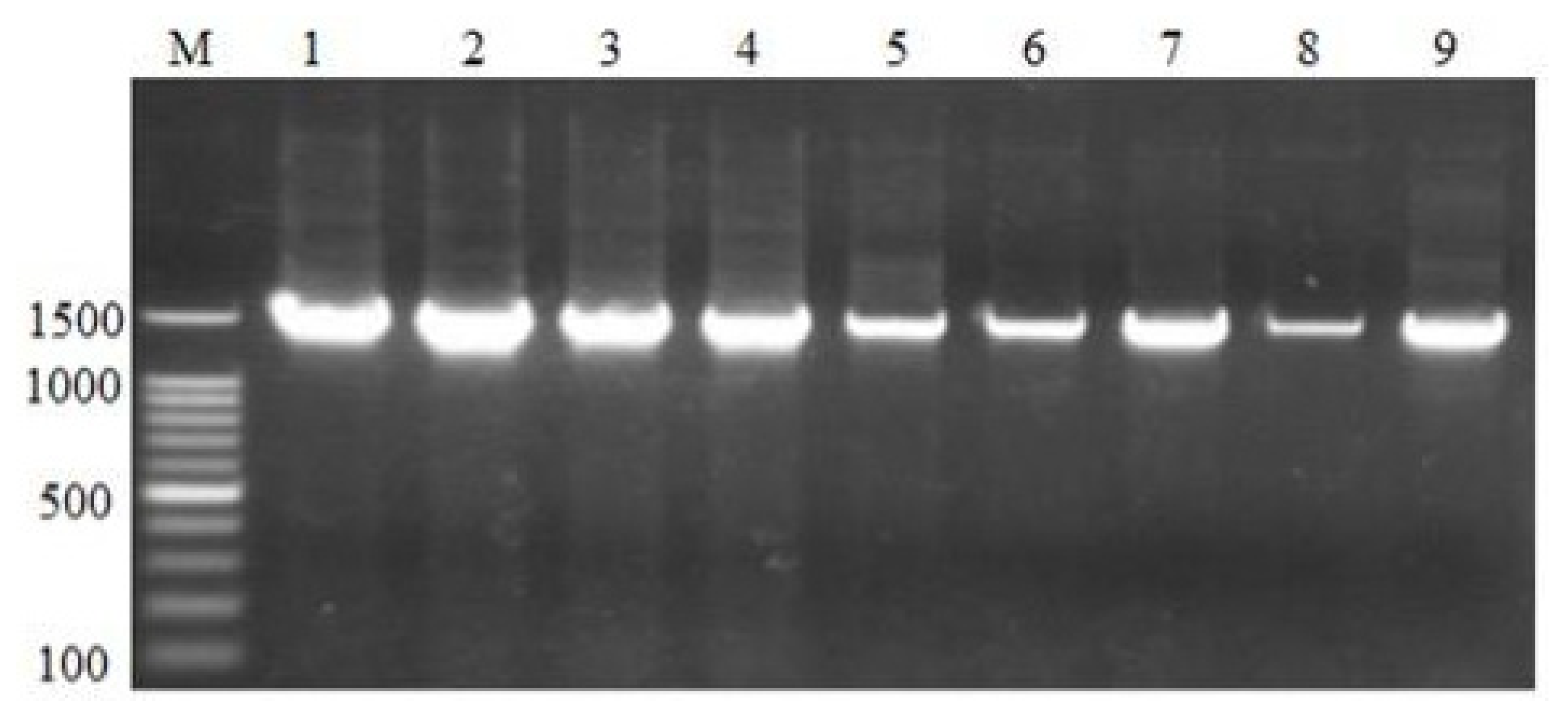 Preprints 154716 g008