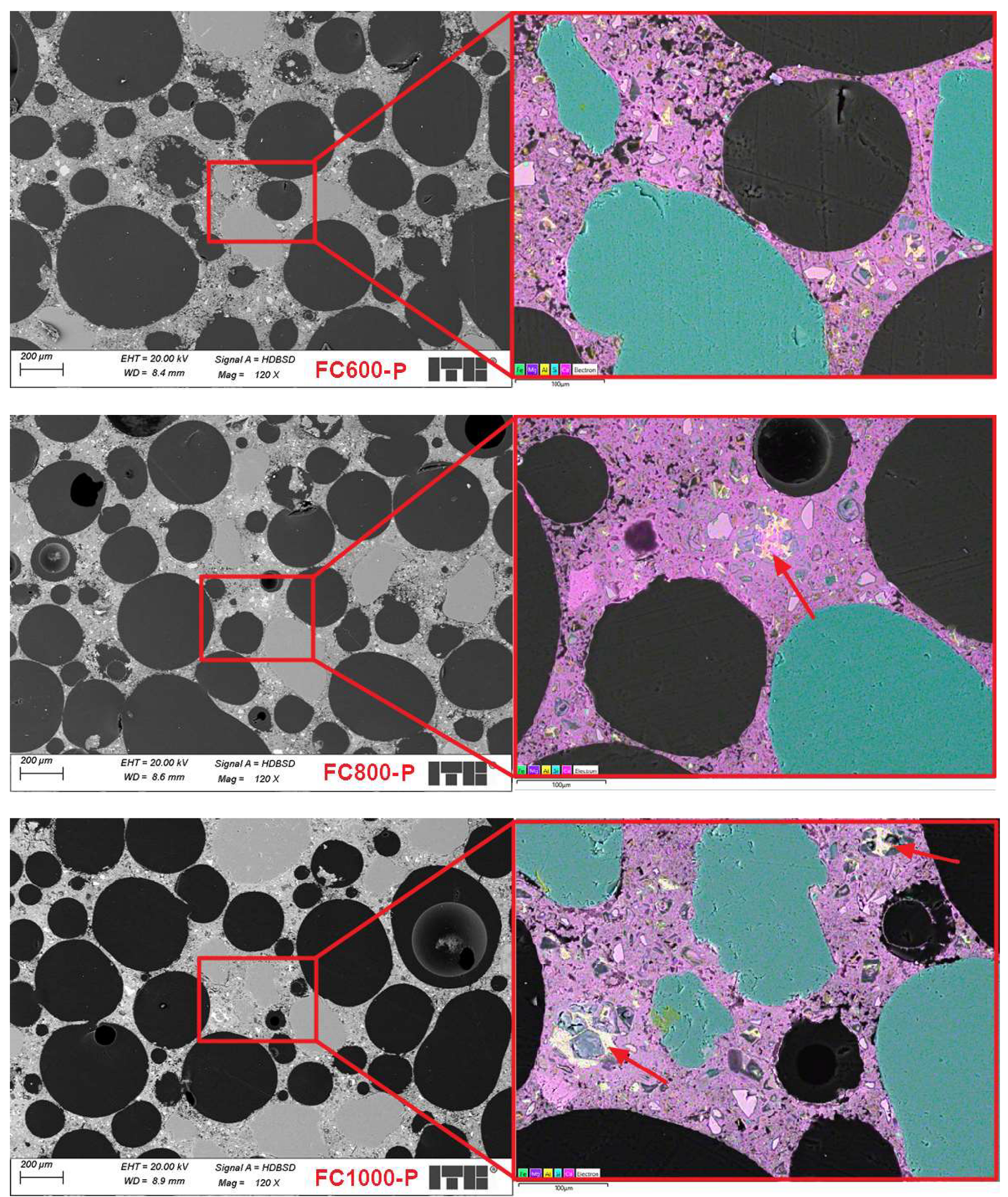 Preprints 151189 g006