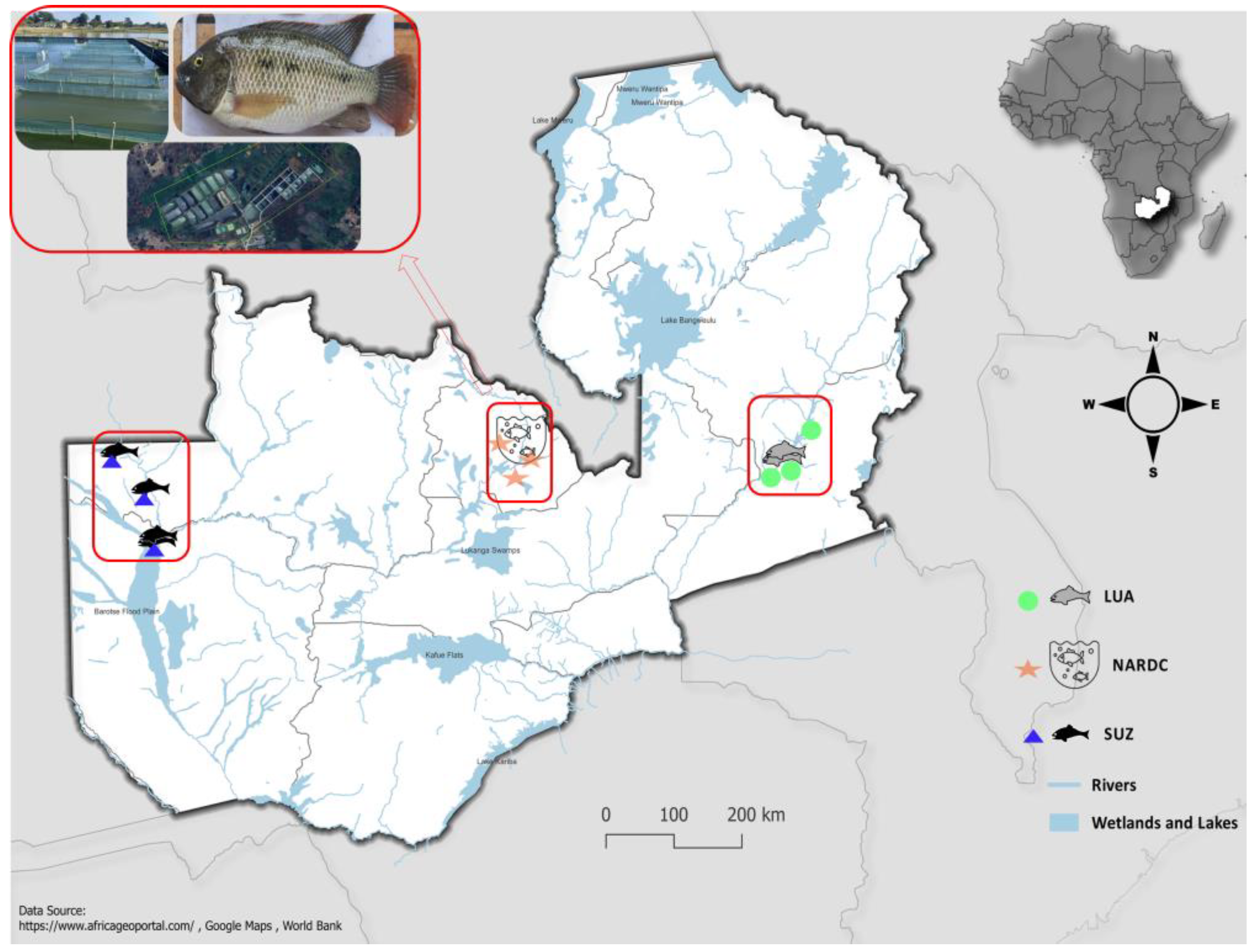 Preprints 159332 g001