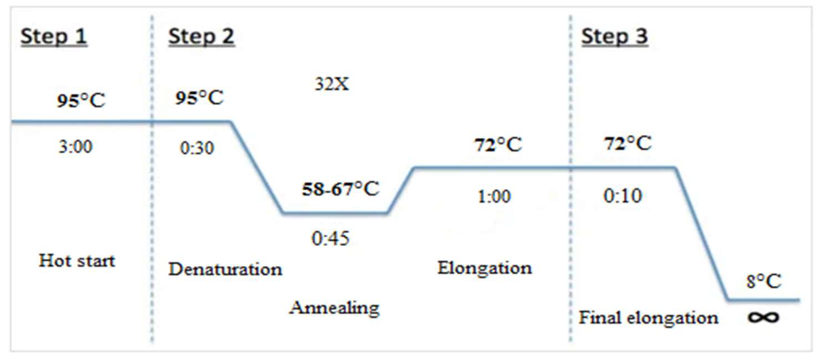 Preprints 145771 g001