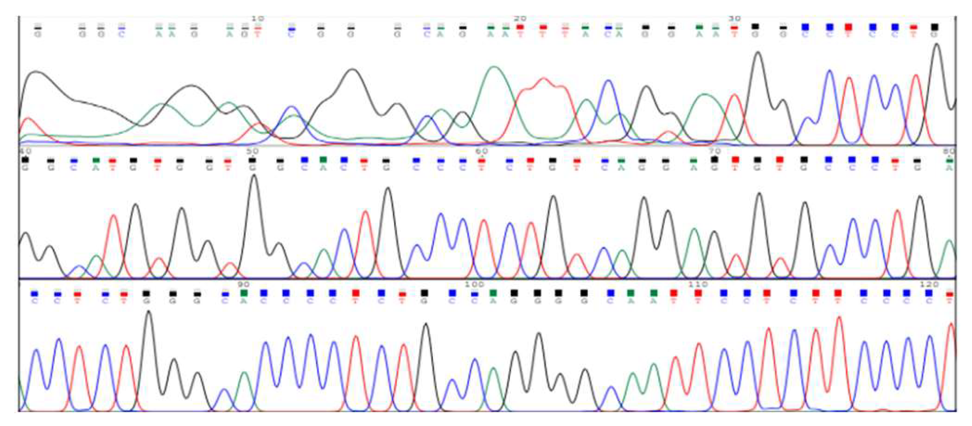 Preprints 145771 g003