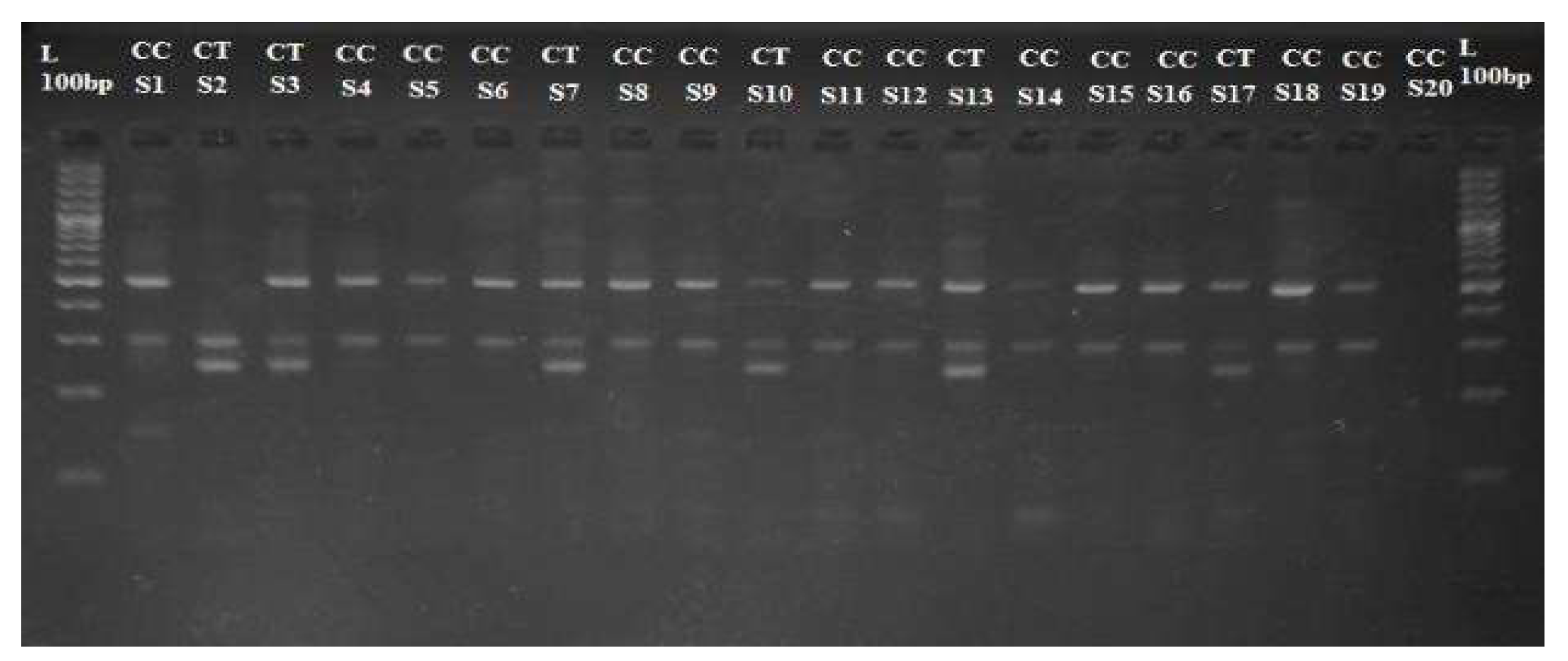 Preprints 145771 g004