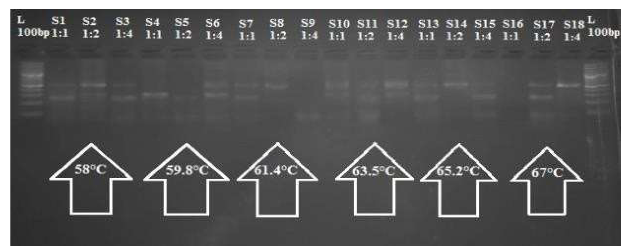 Preprints 145771 g005