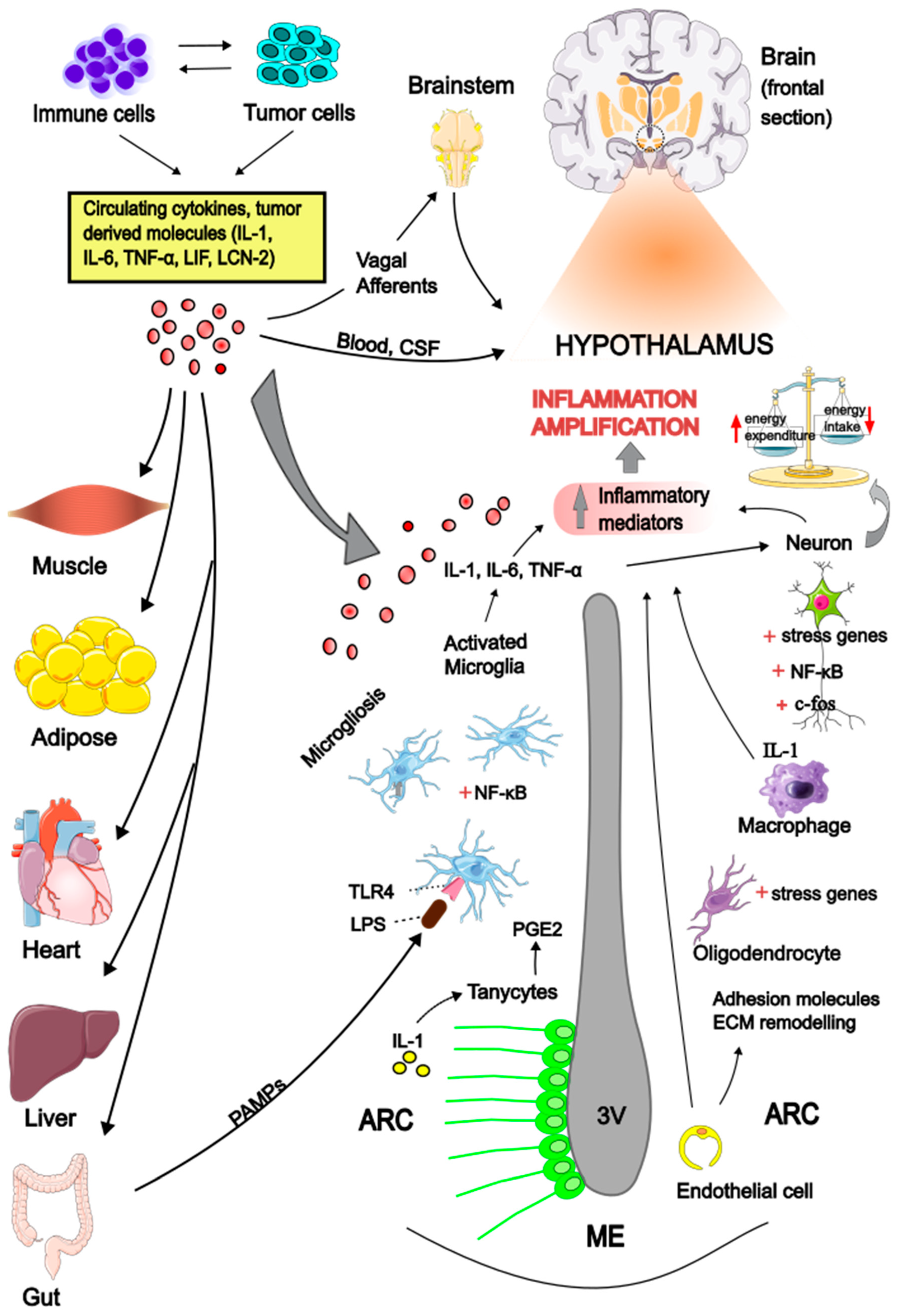 Preprints 139557 g001