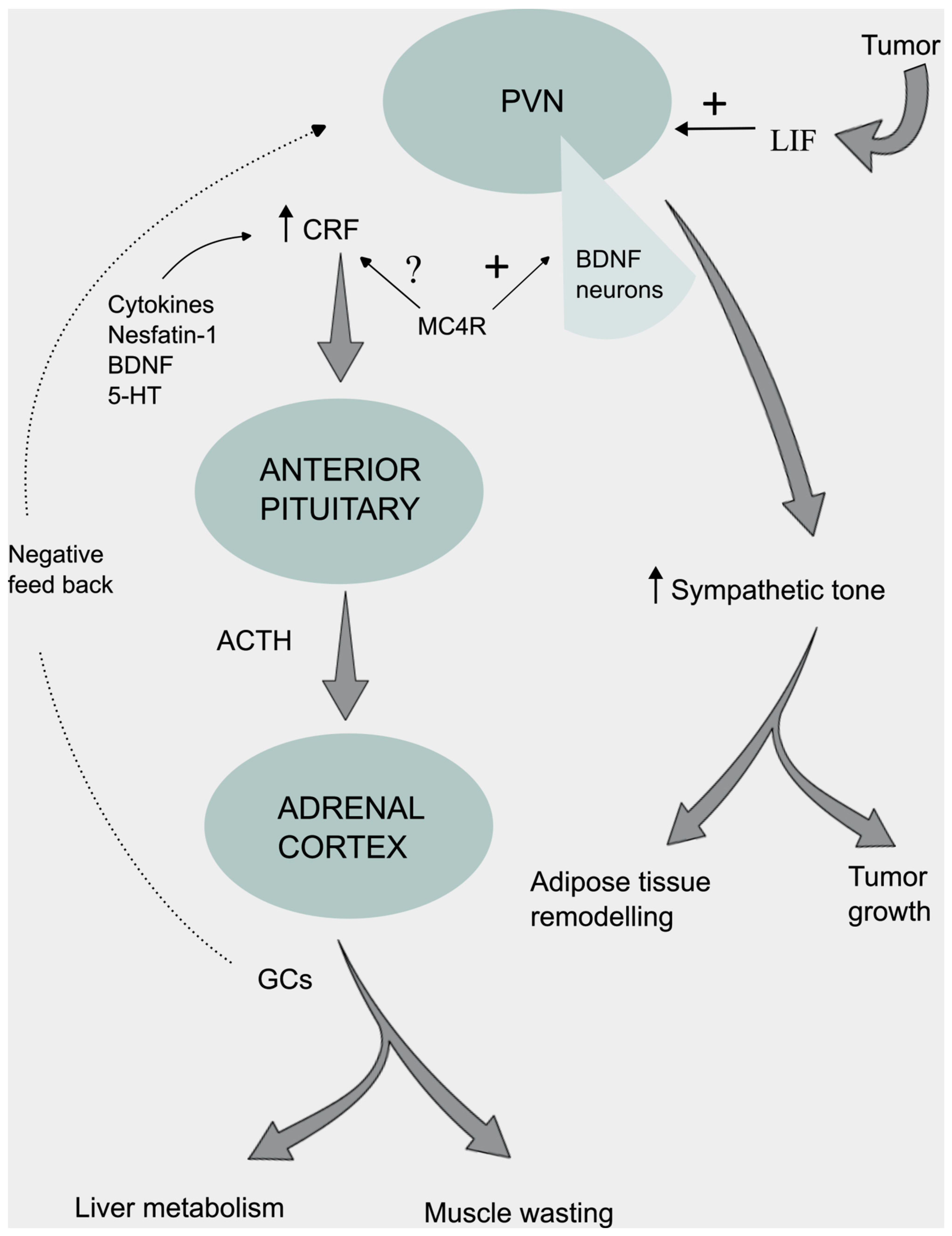 Preprints 139557 g003