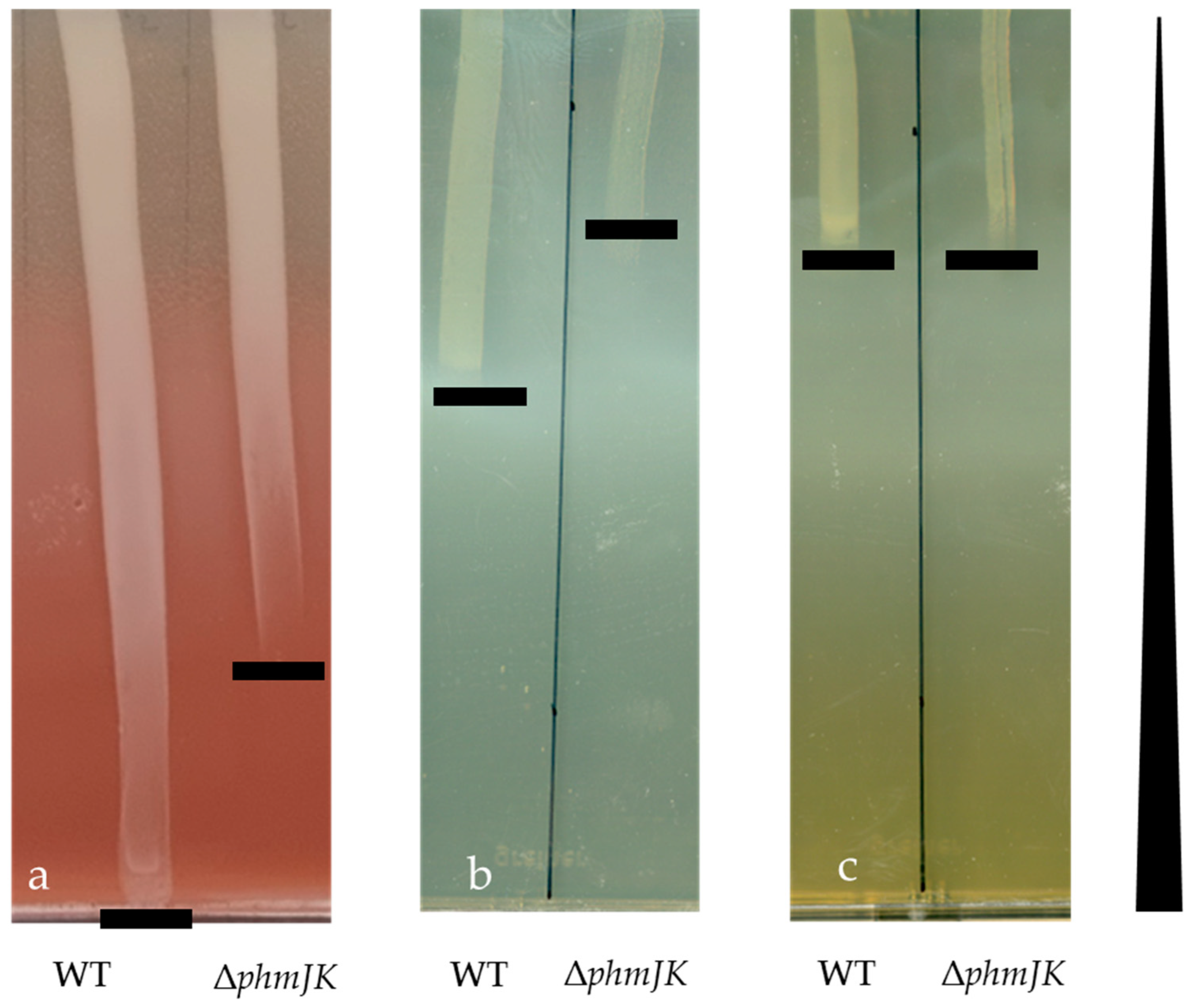 Preprints 155087 g001