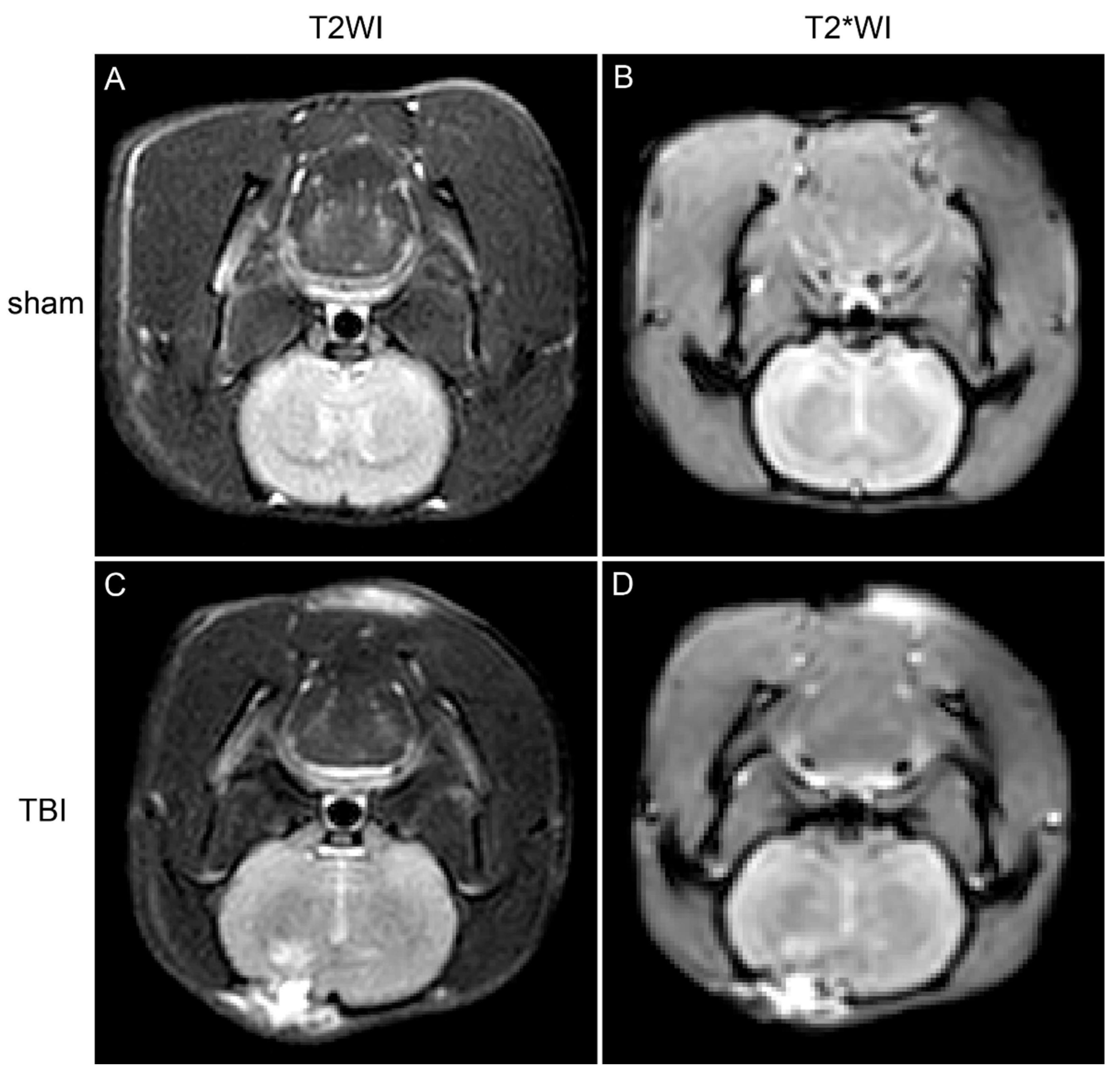 Preprints 162508 g001