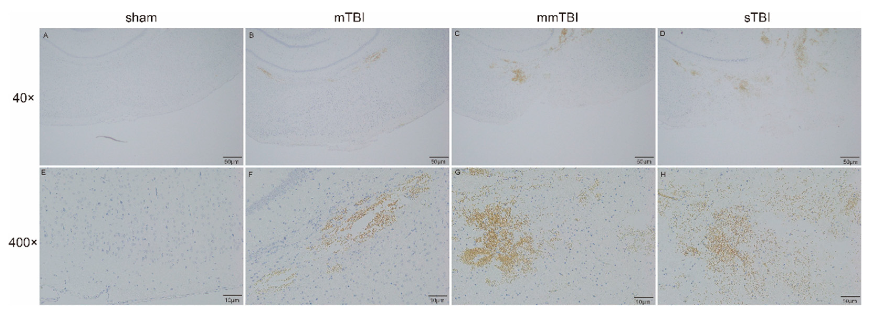 Preprints 162508 g003