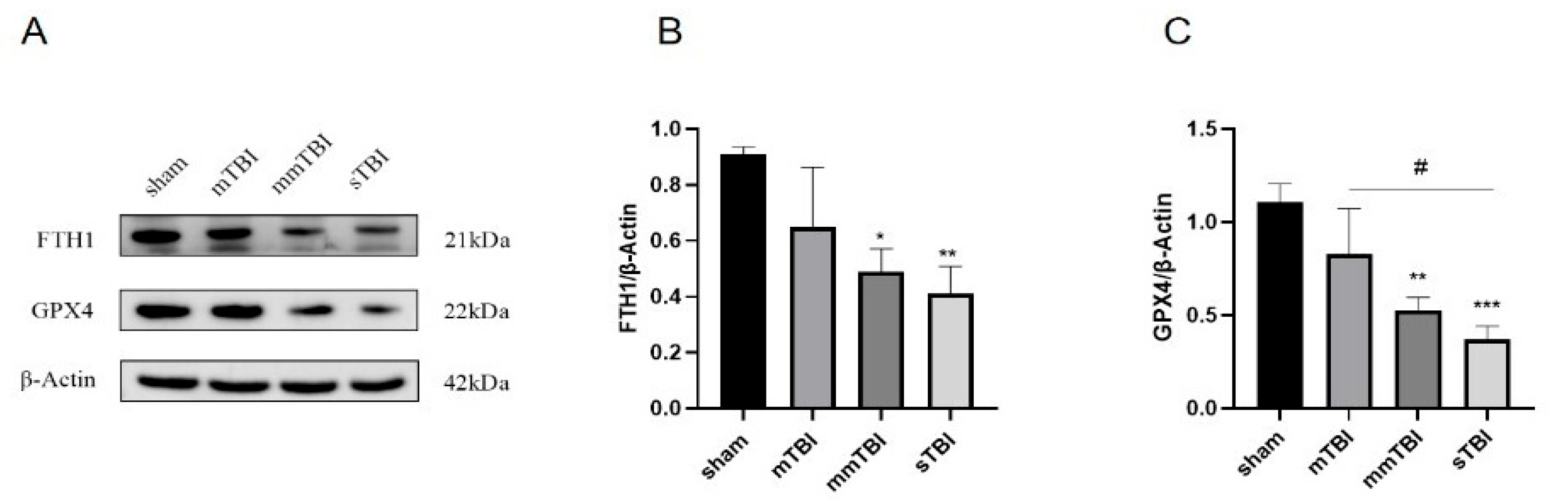 Preprints 162508 g004