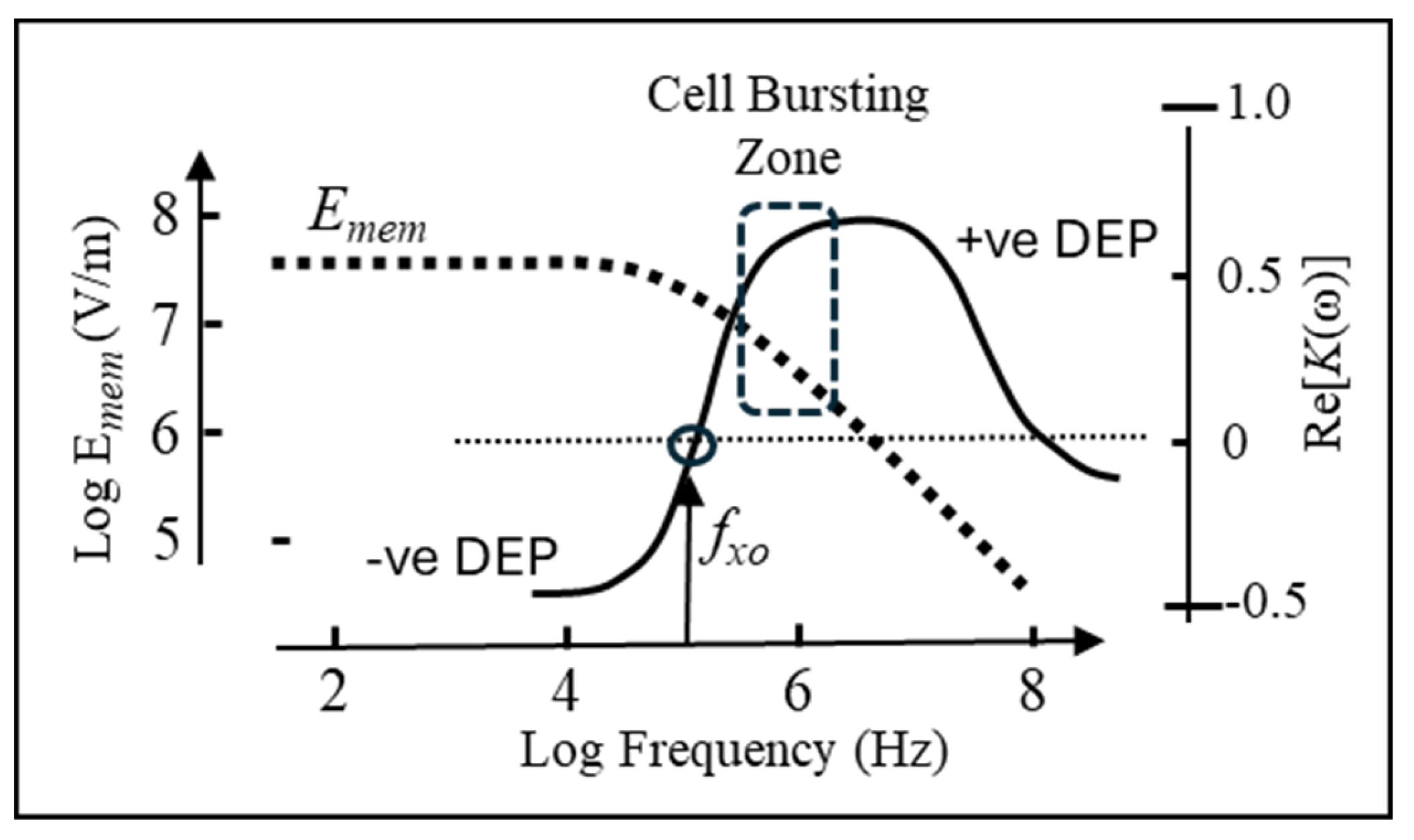 Preprints 191392 g002