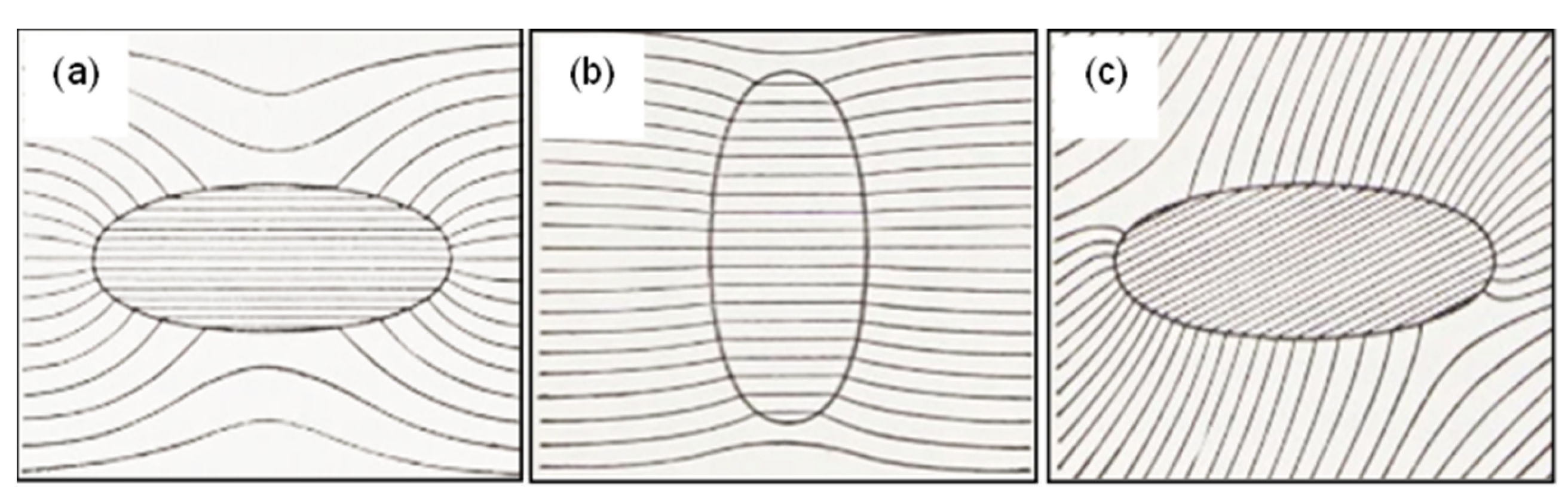 Preprints 191392 g009