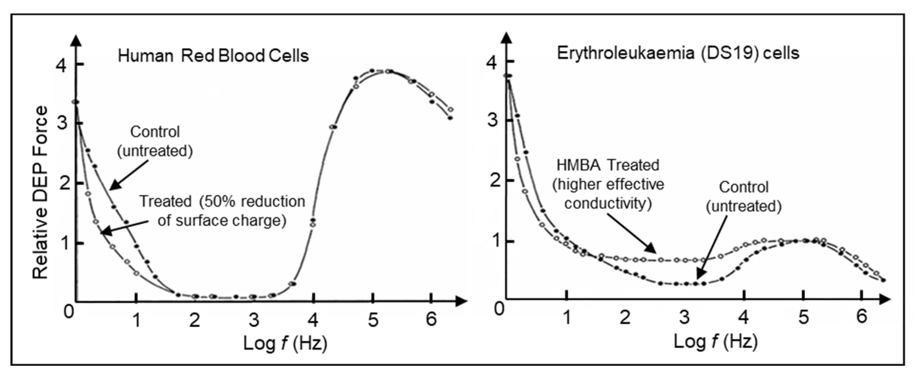 Preprints 191392 g010