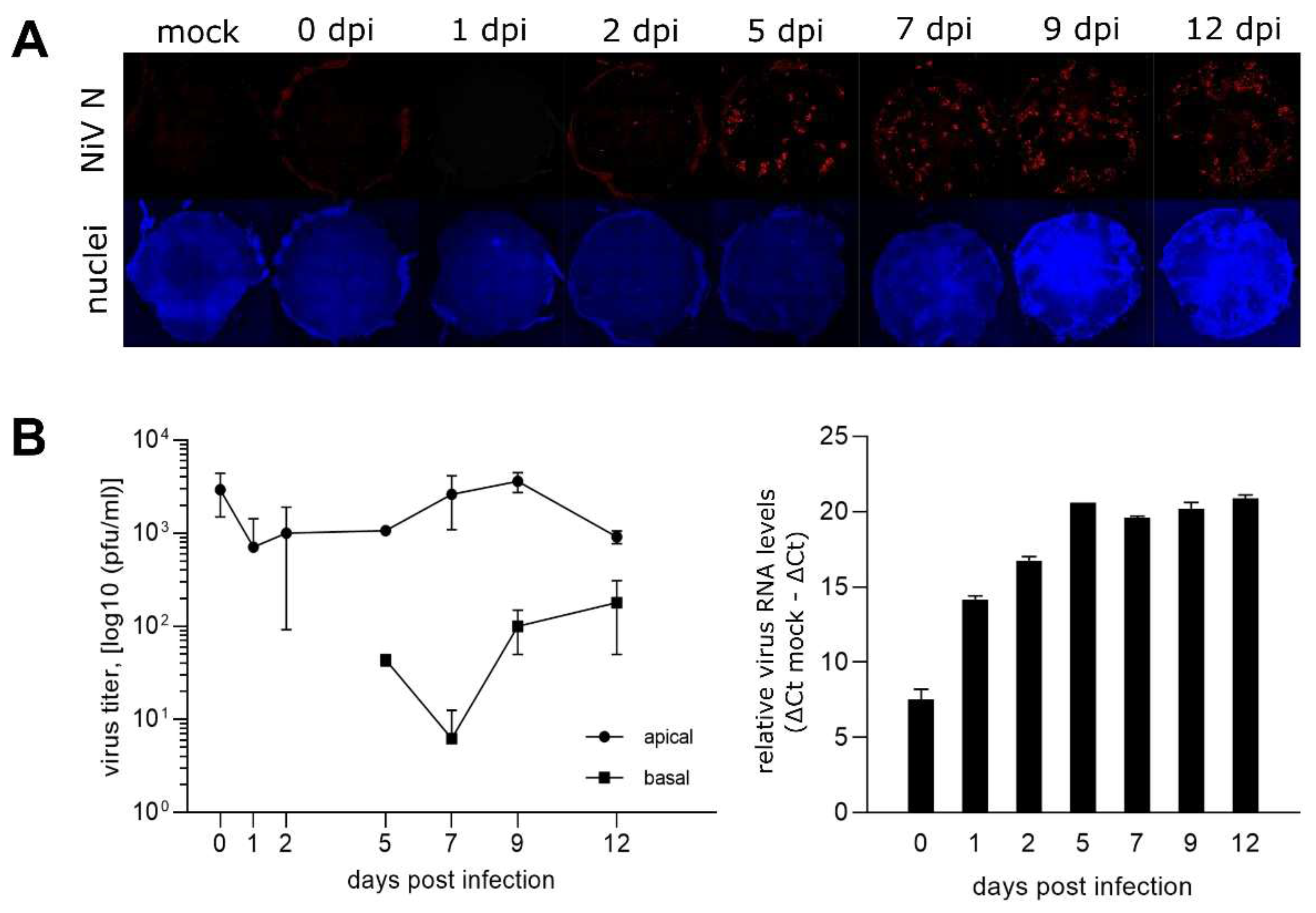 Preprints 69750 g002