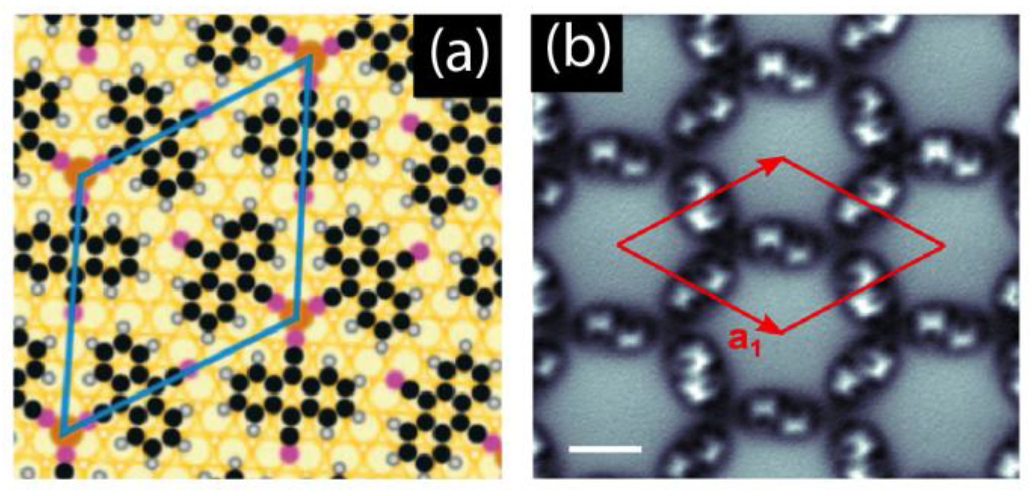 Preprints 150969 g003